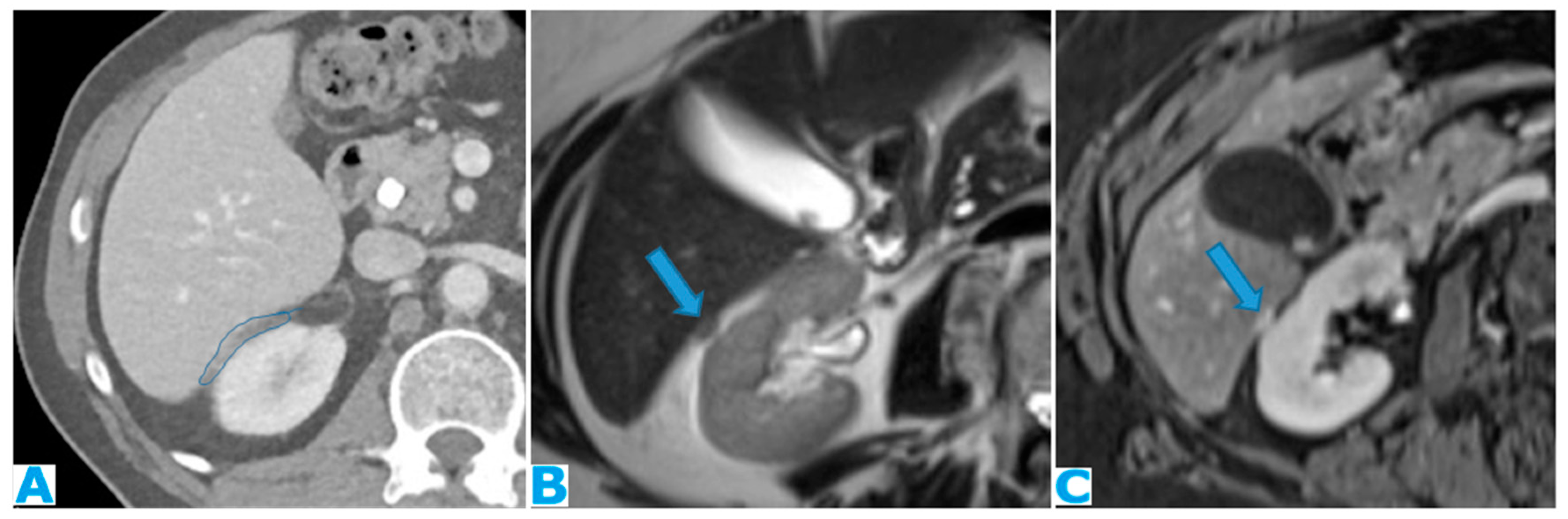 Preprints 73100 g016