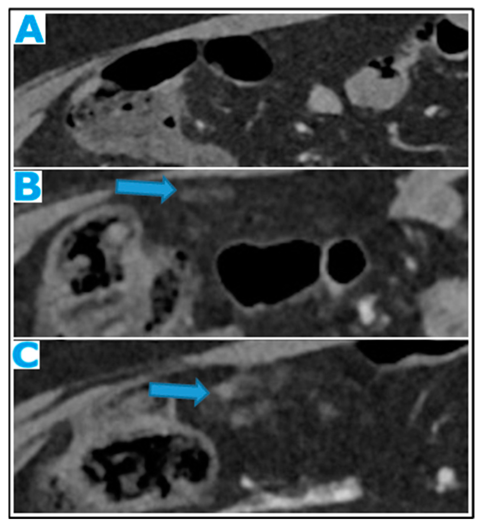 Preprints 73100 g017