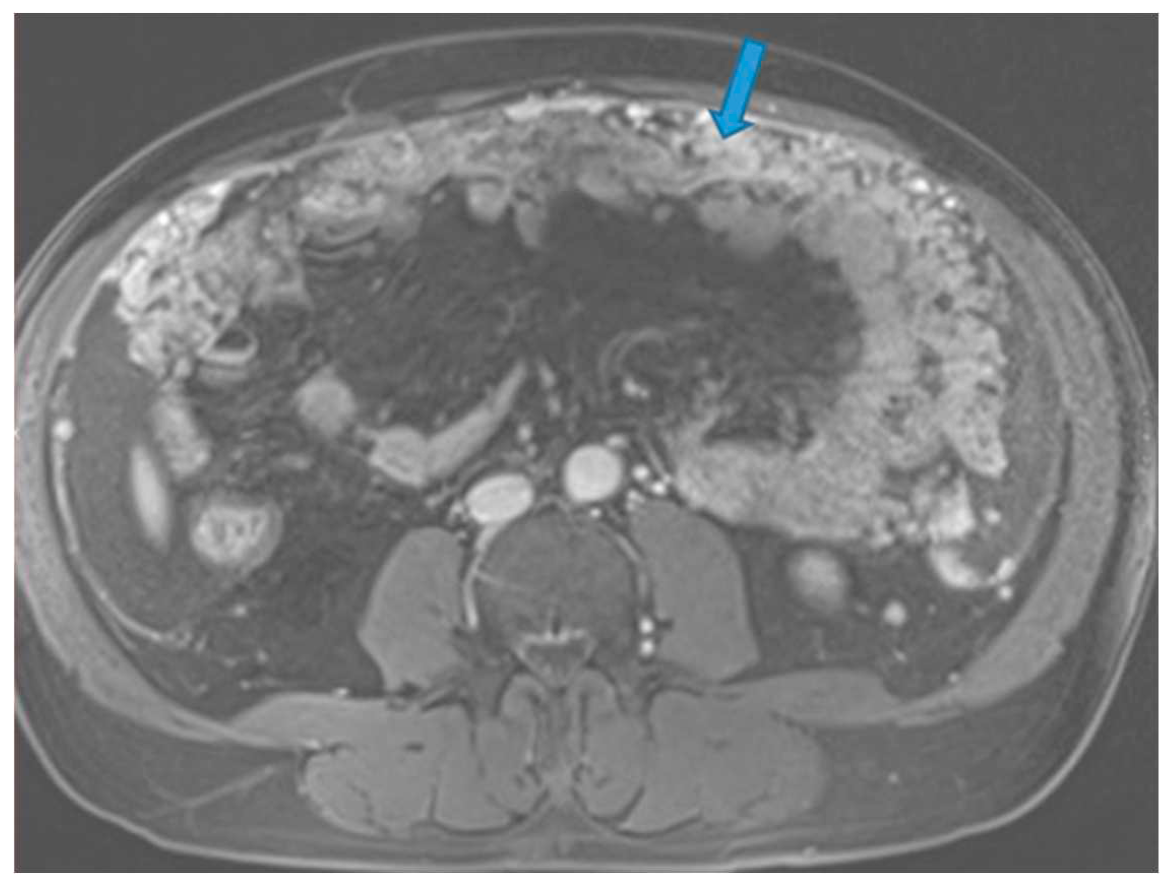 Preprints 73100 g018