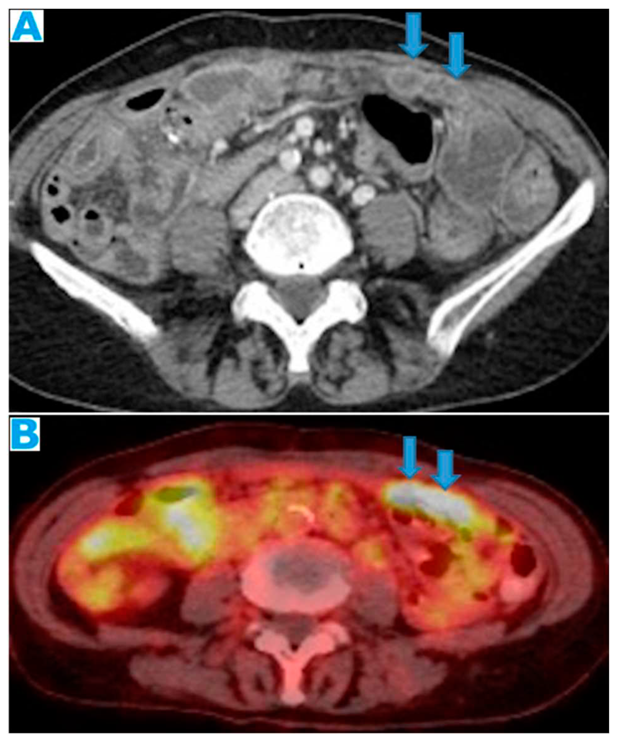 Preprints 73100 g020