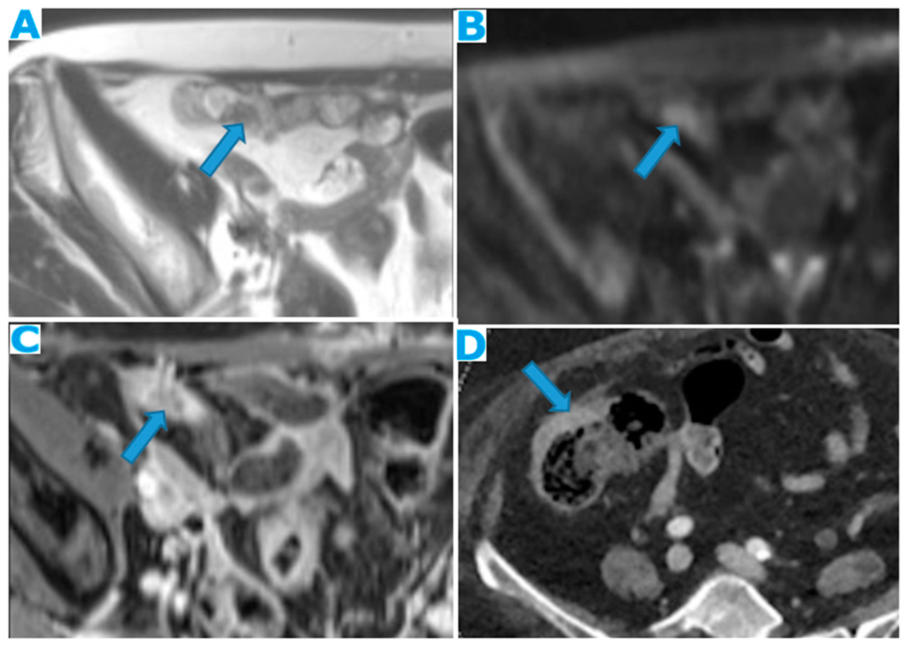 Preprints 73100 g022
