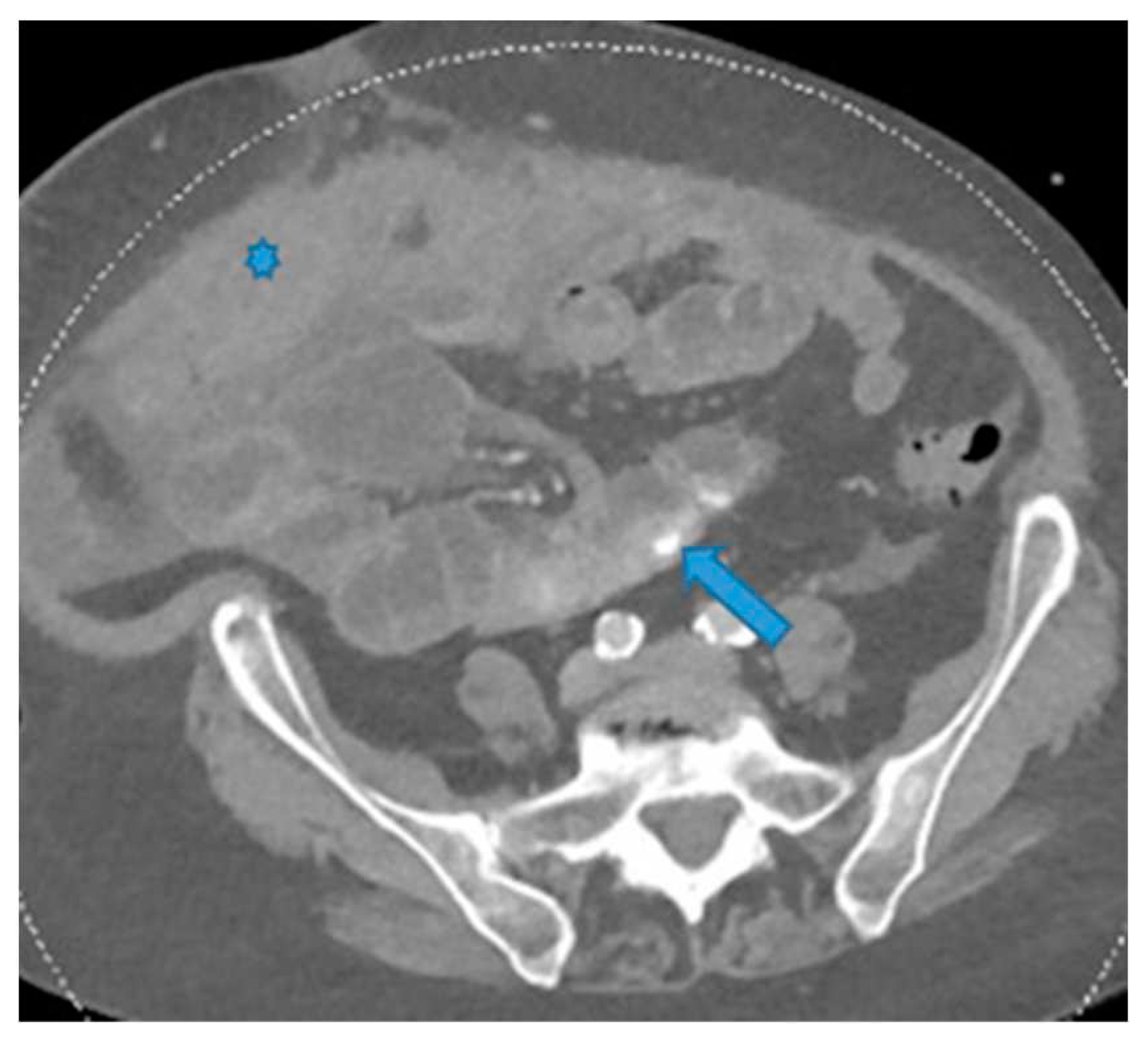 Preprints 73100 g023