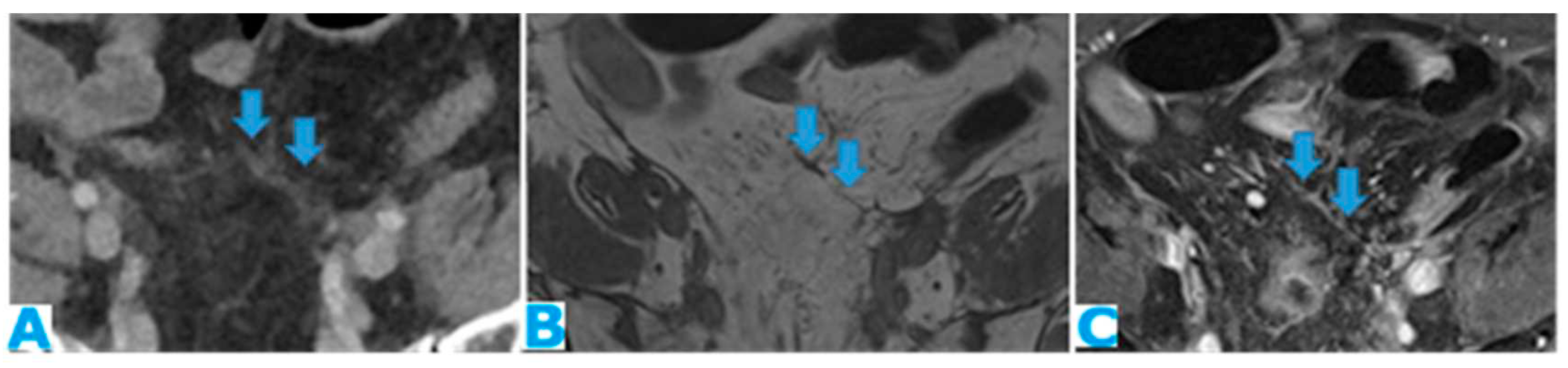 Preprints 73100 g024