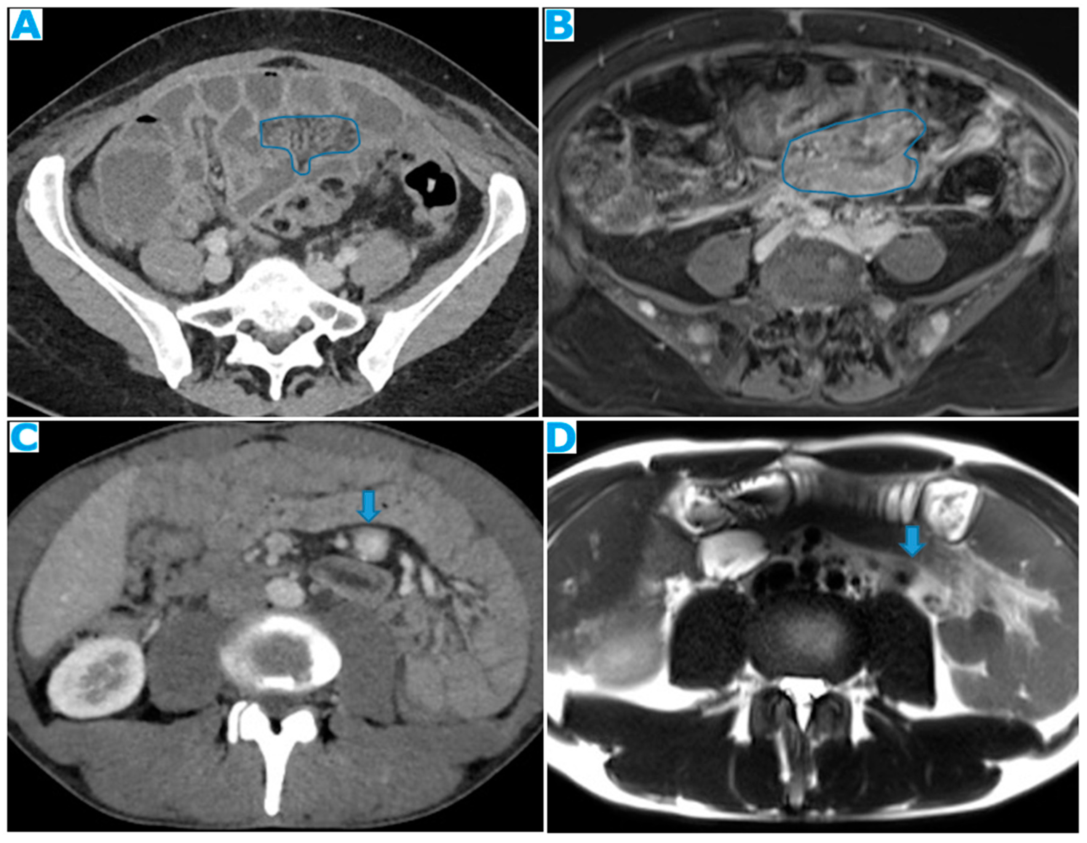 Preprints 73100 g026