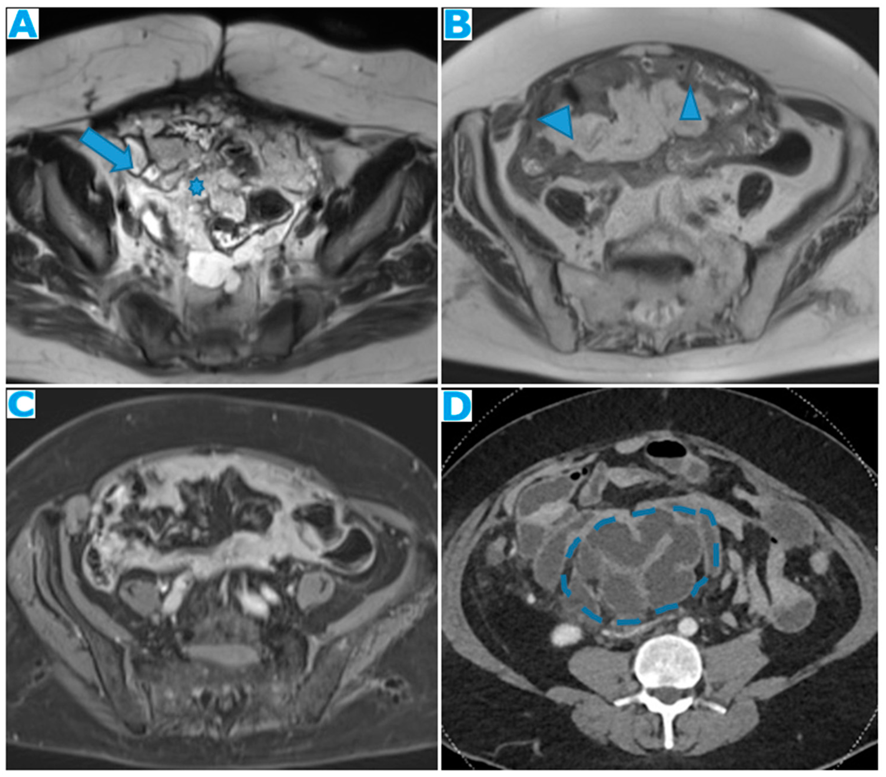 Preprints 73100 g027