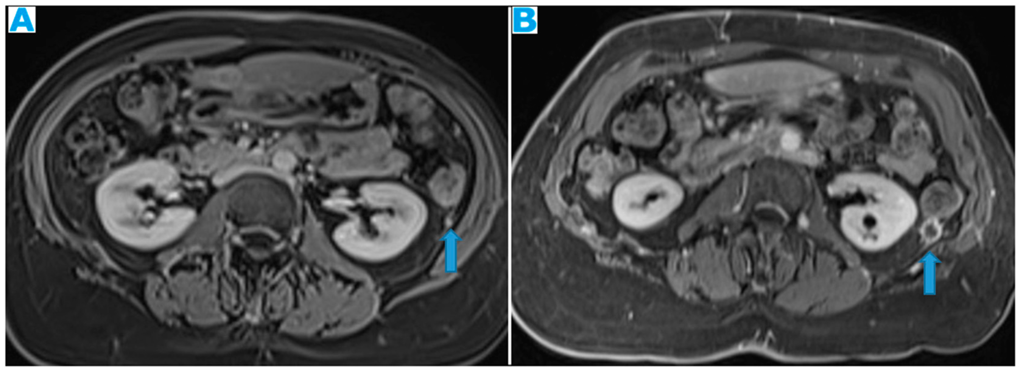 Preprints 73100 g030