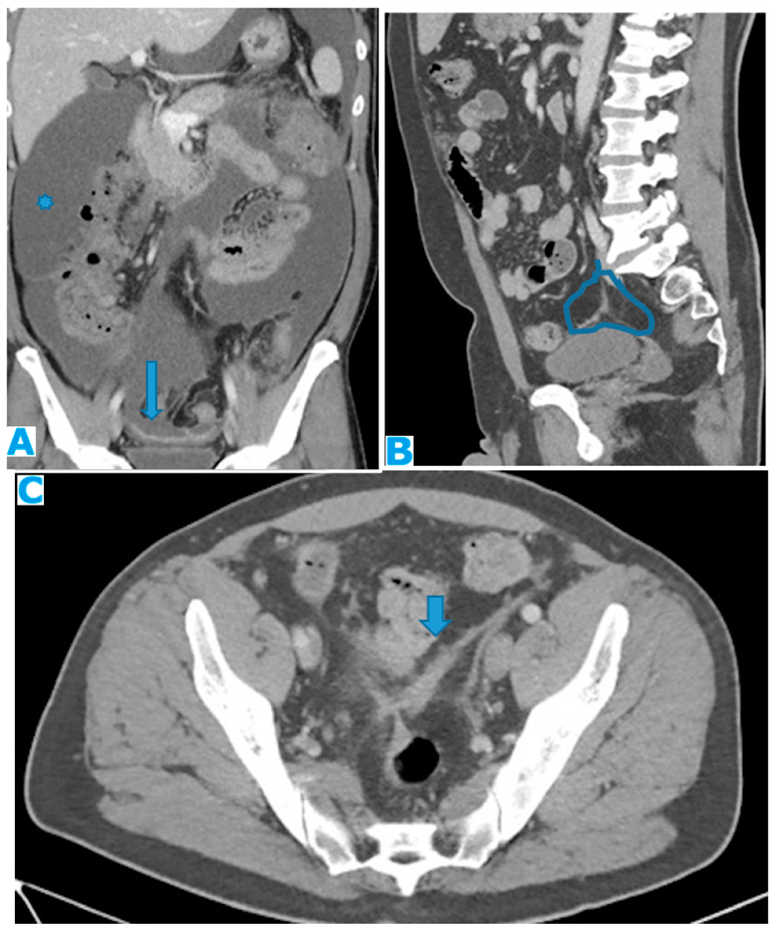 Preprints 73100 g032