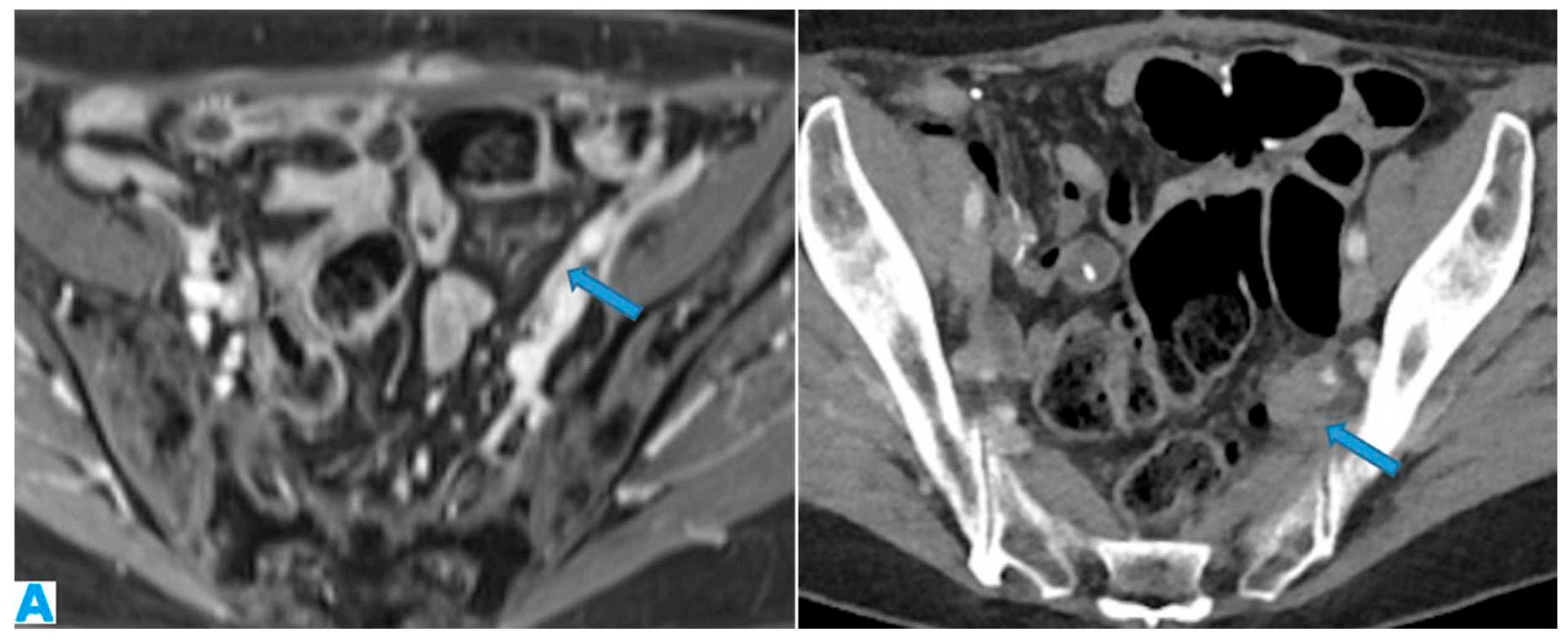Preprints 73100 g033