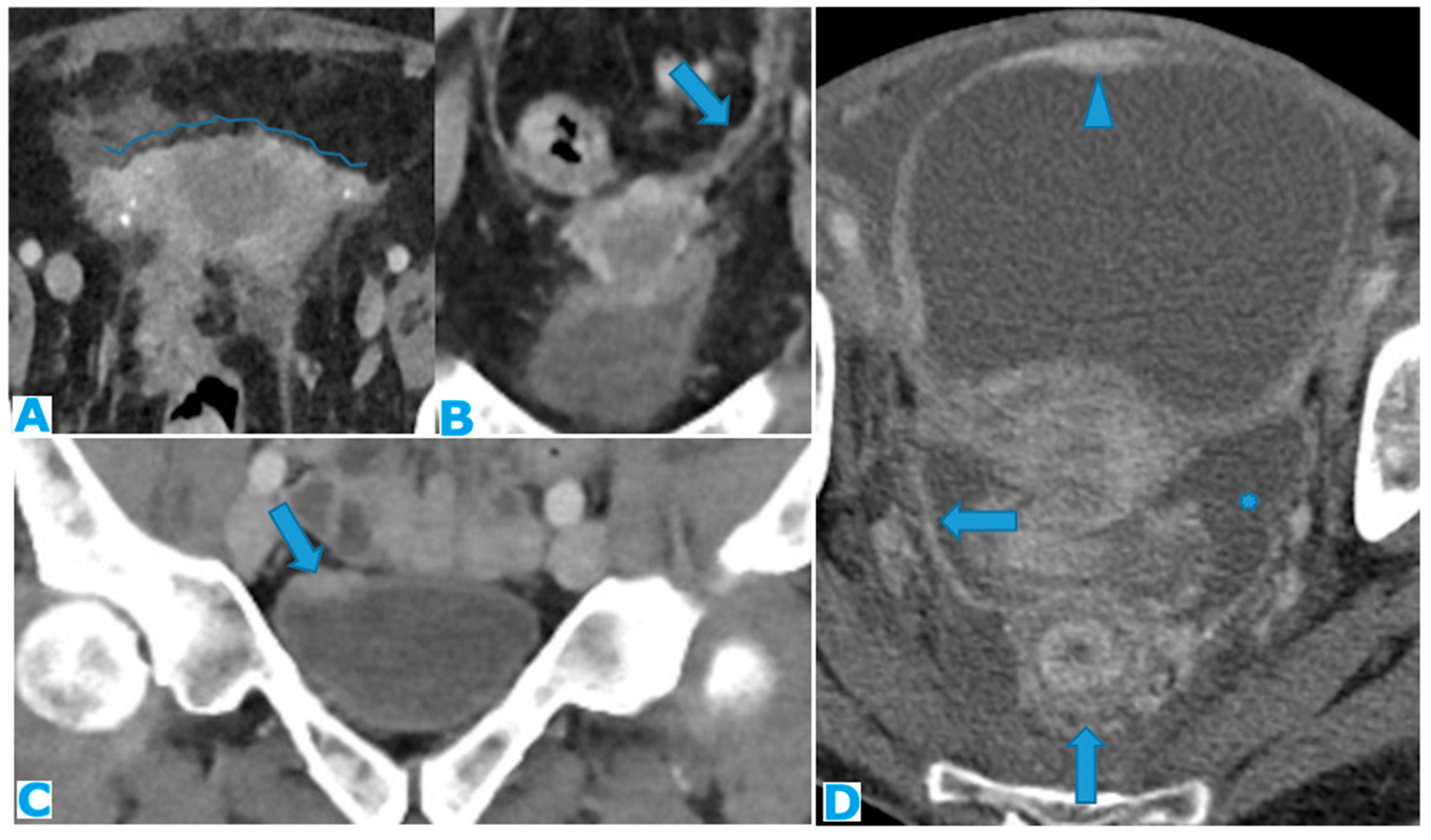 Preprints 73100 g034