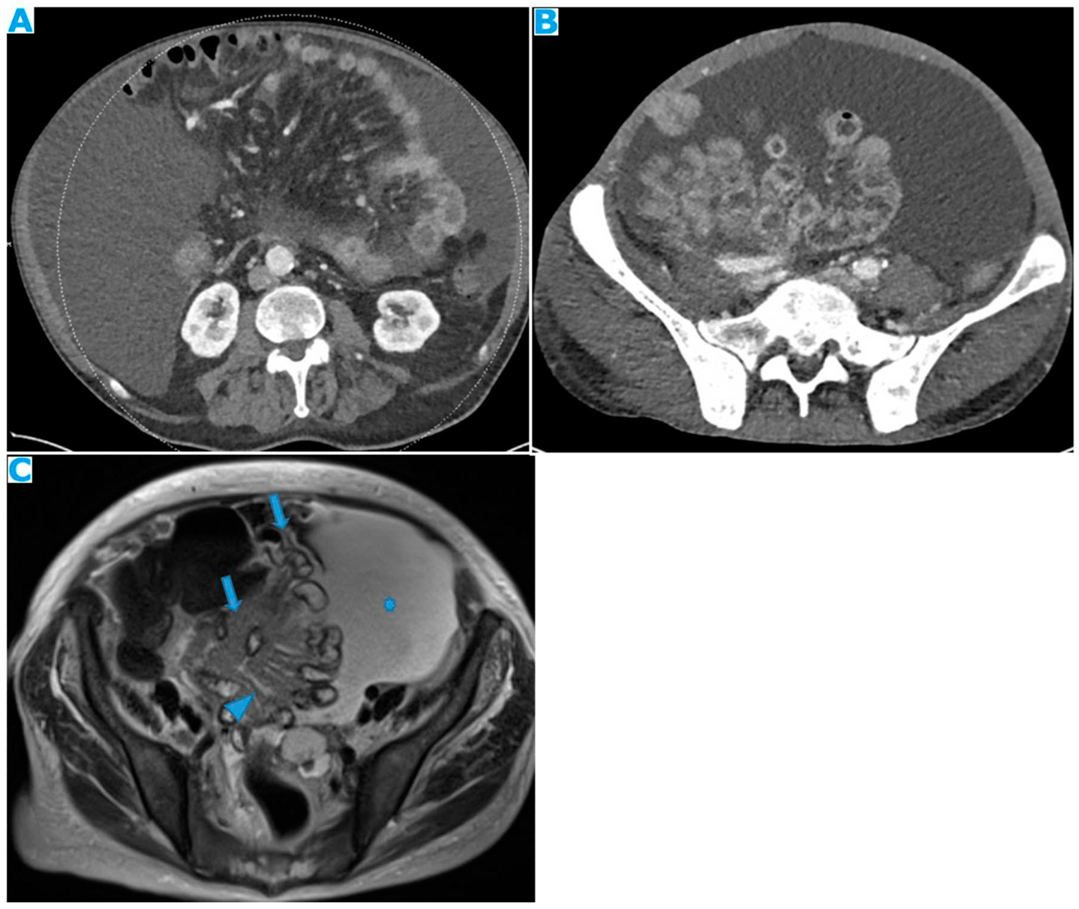Preprints 73100 g039