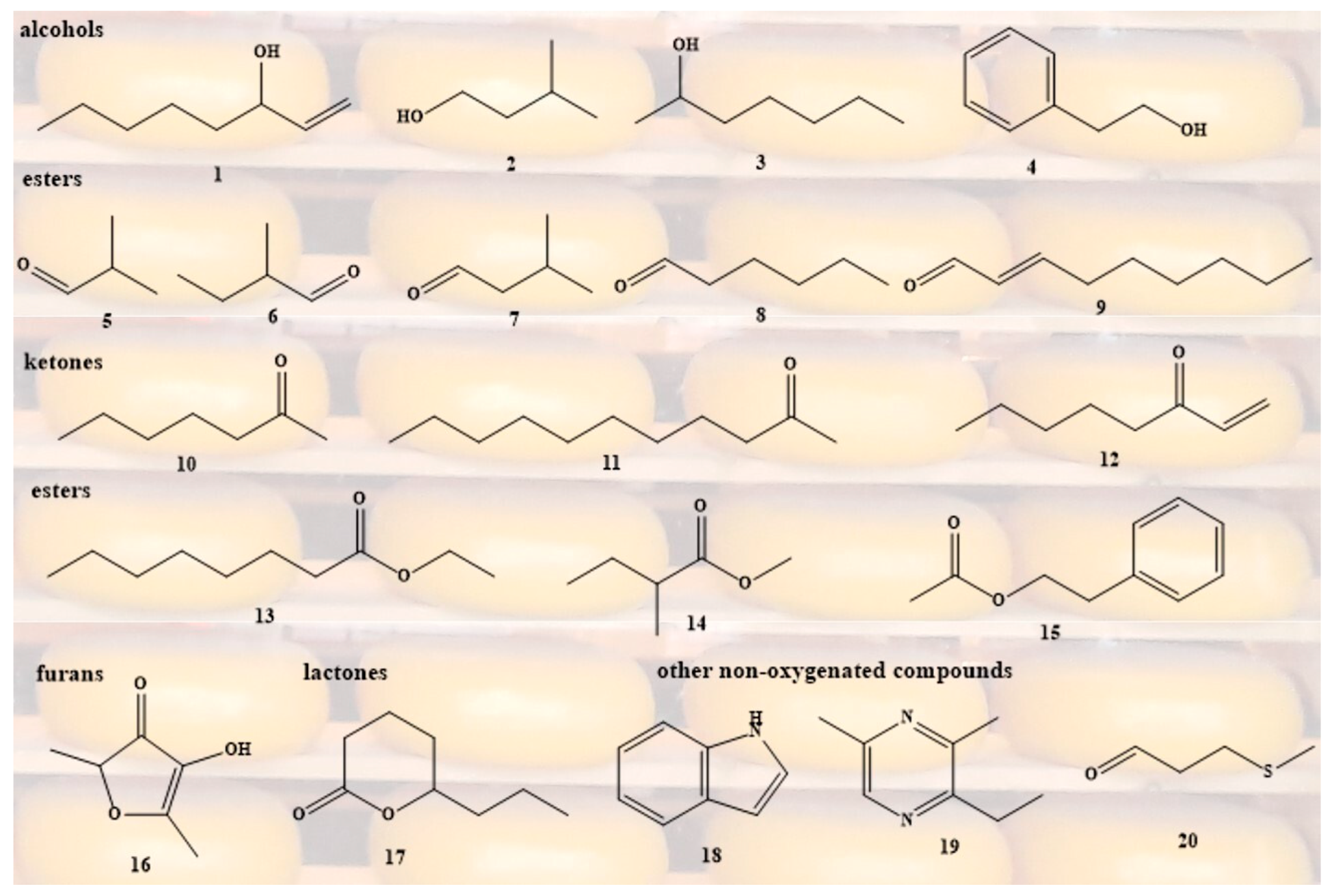 Preprints 191280 g001