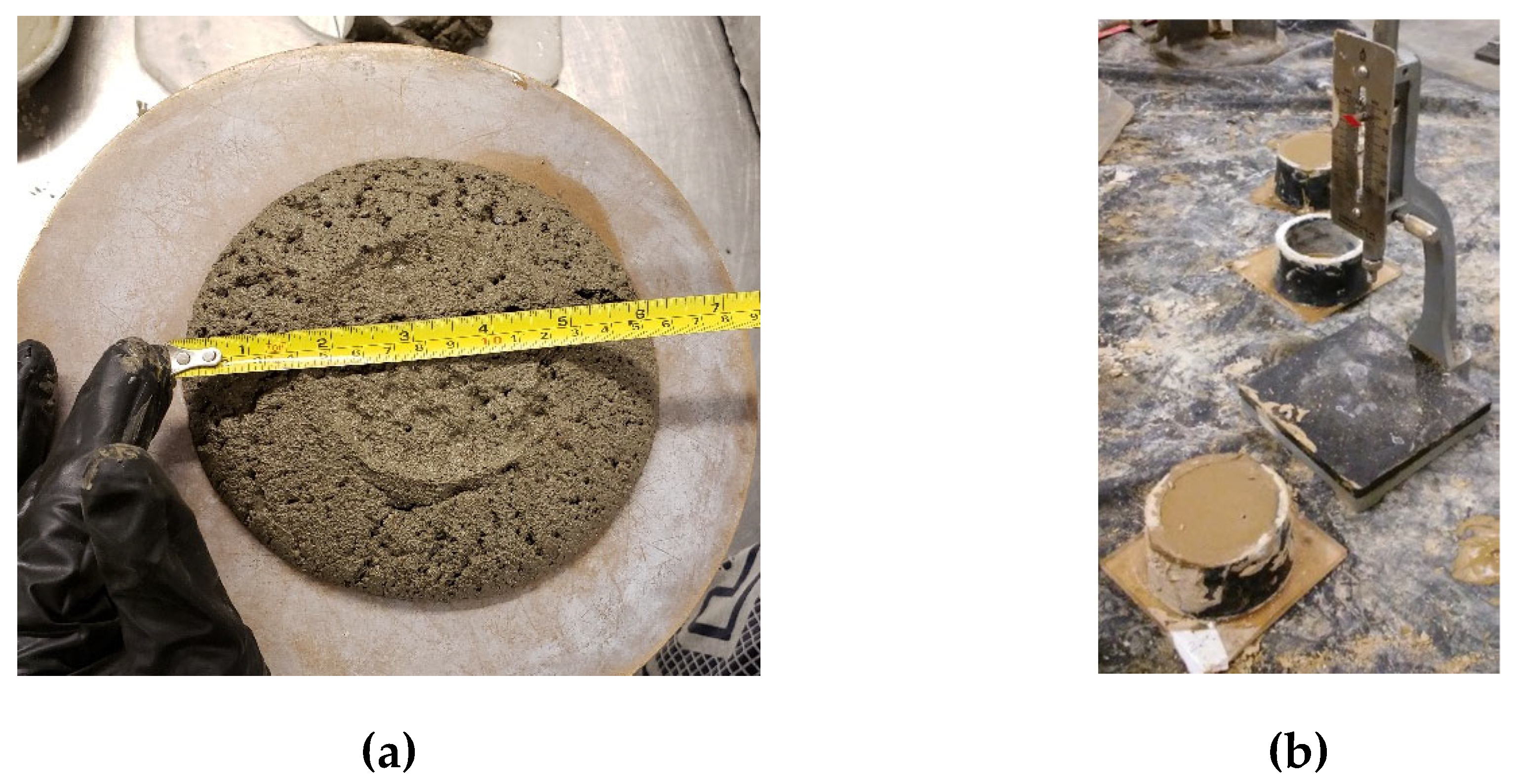 Preprints 186553 g001