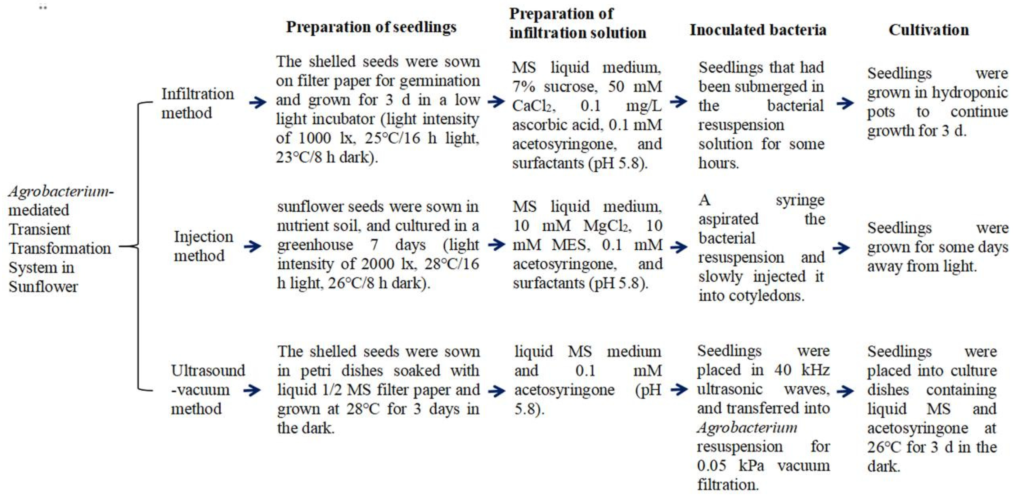 Preprints 146048 g006