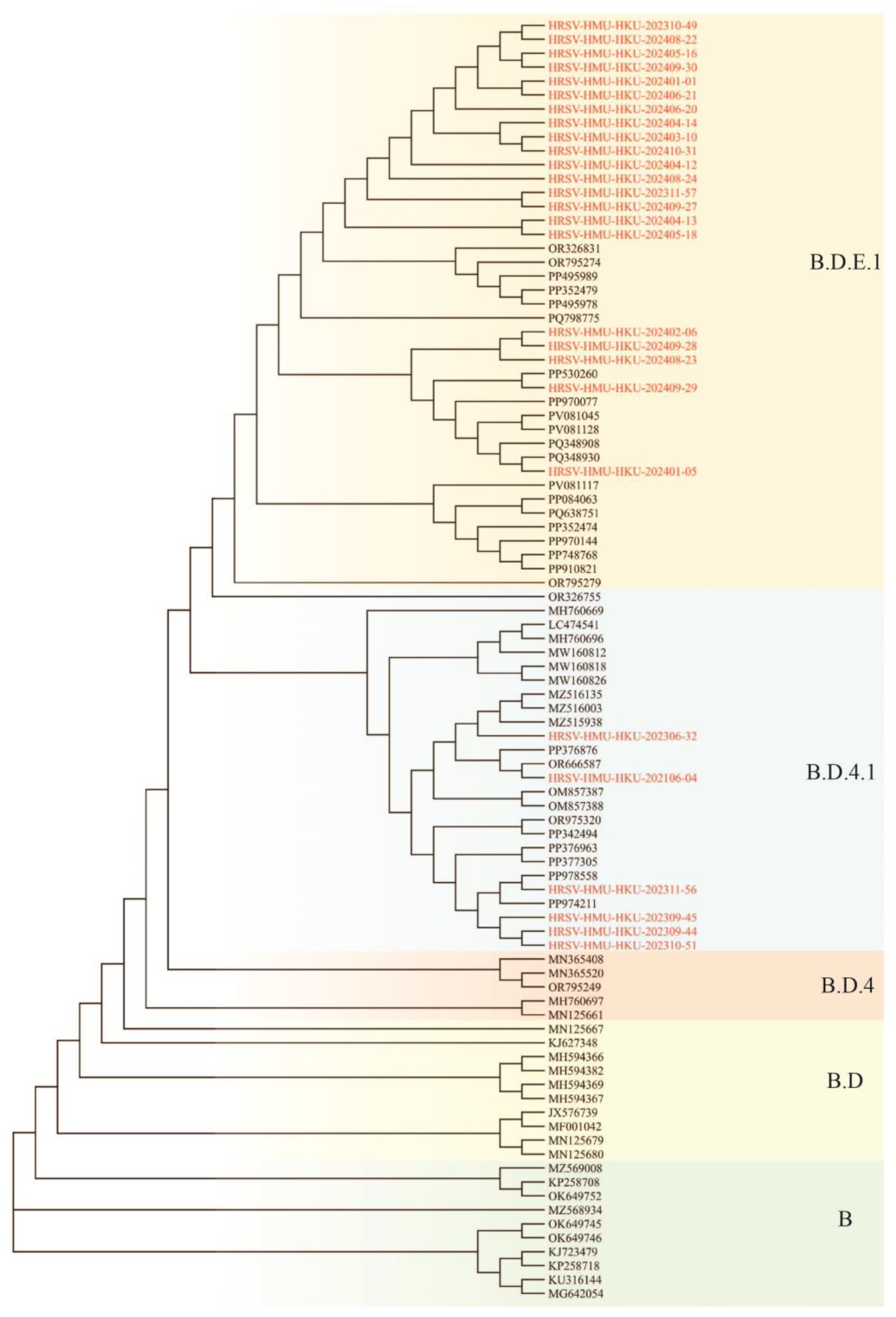 Preprints 191300 g003b