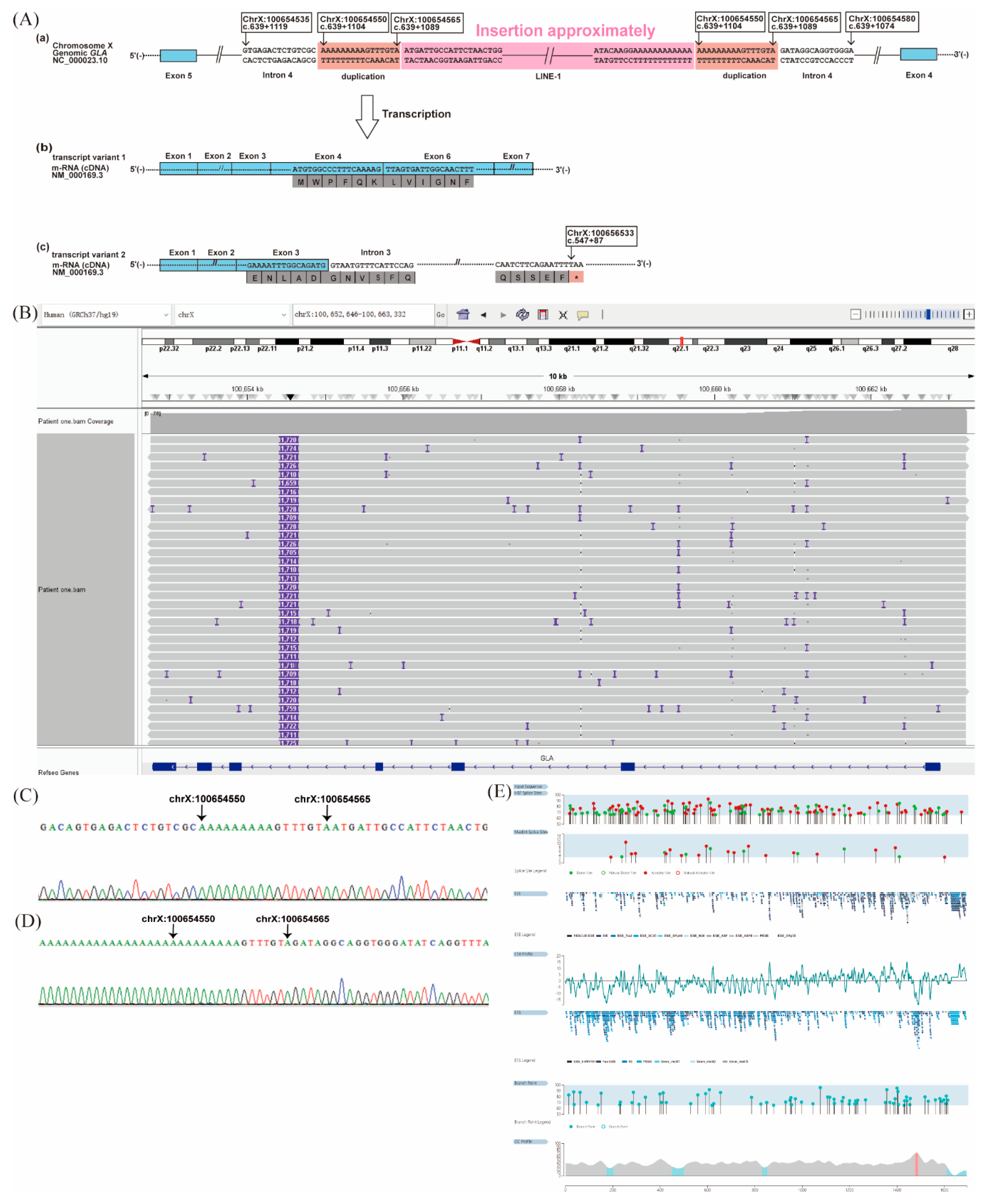 Preprints 191228 g003