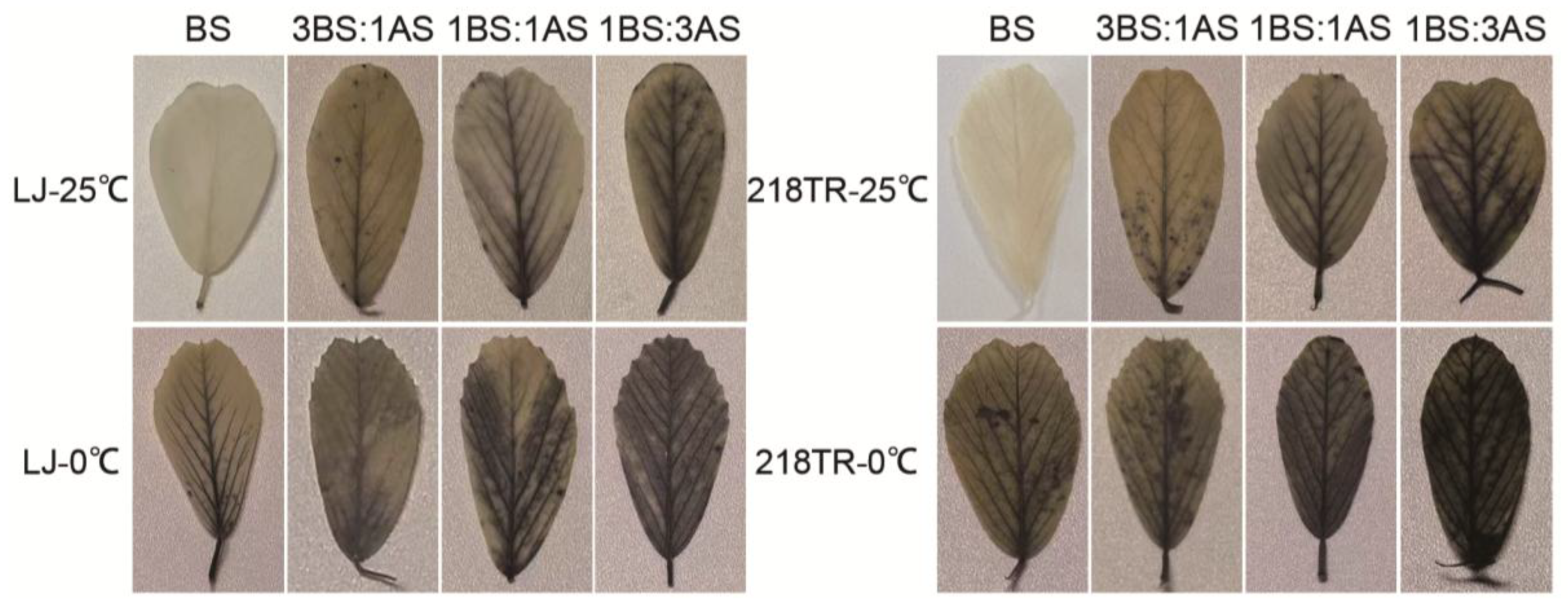 Preprints 184975 g004