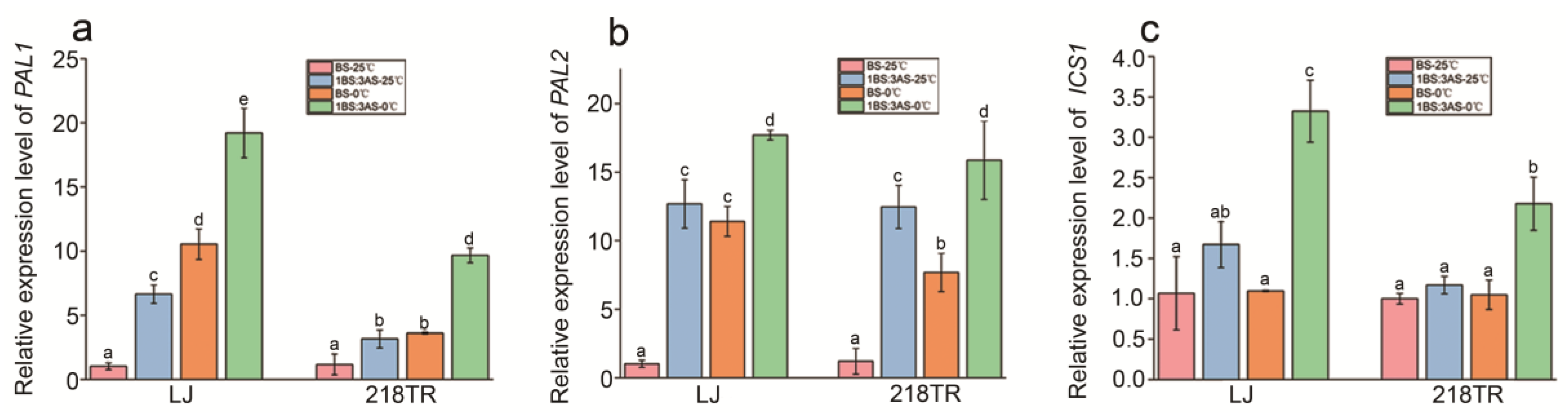 Preprints 184975 g006
