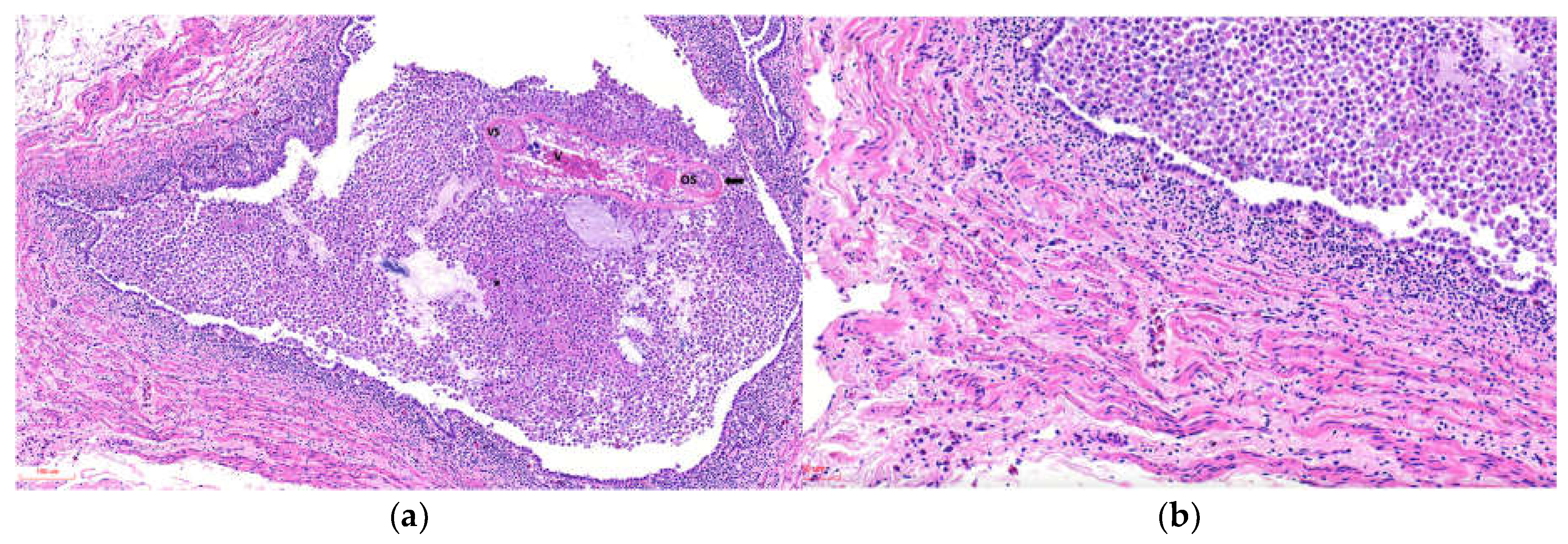 Preprints 192354 g003