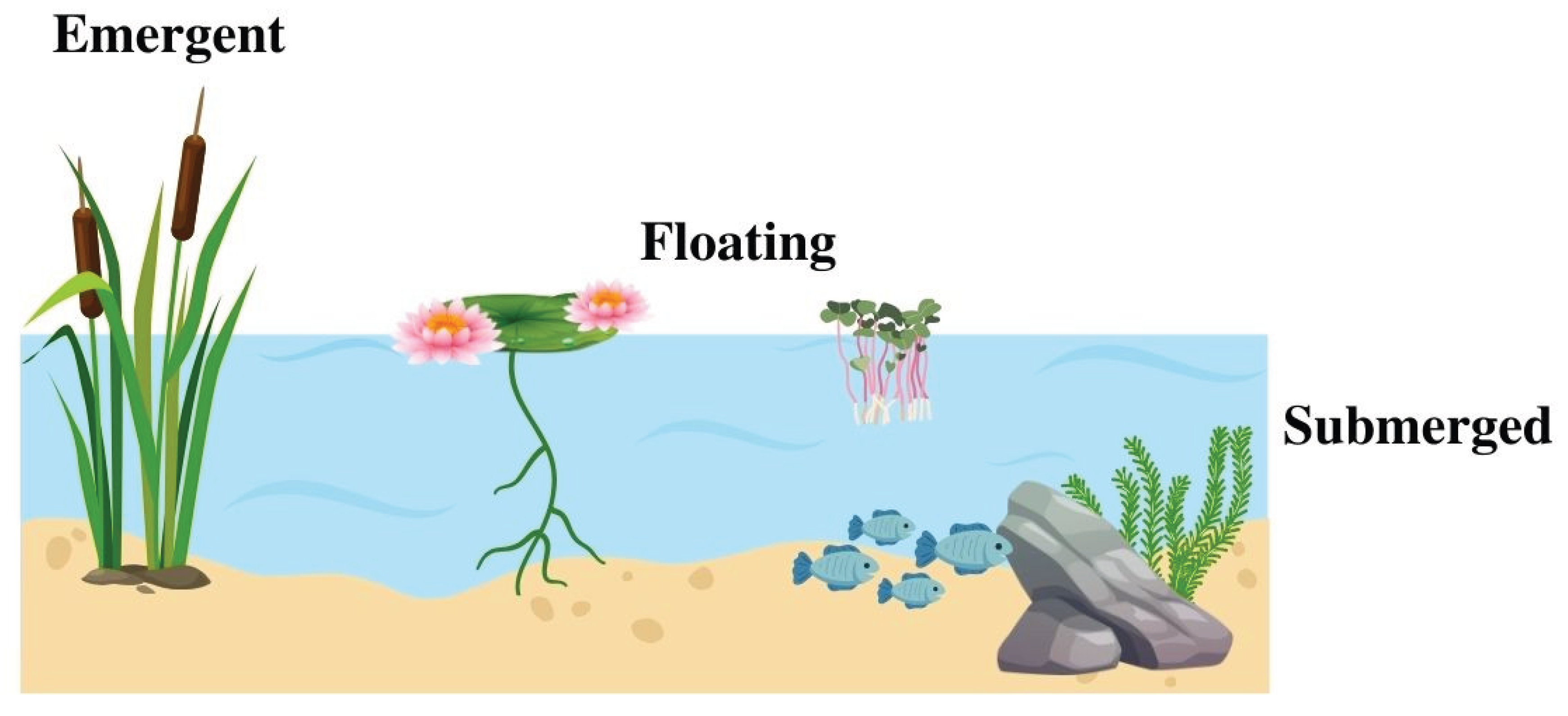 Preprints 179094 g004
