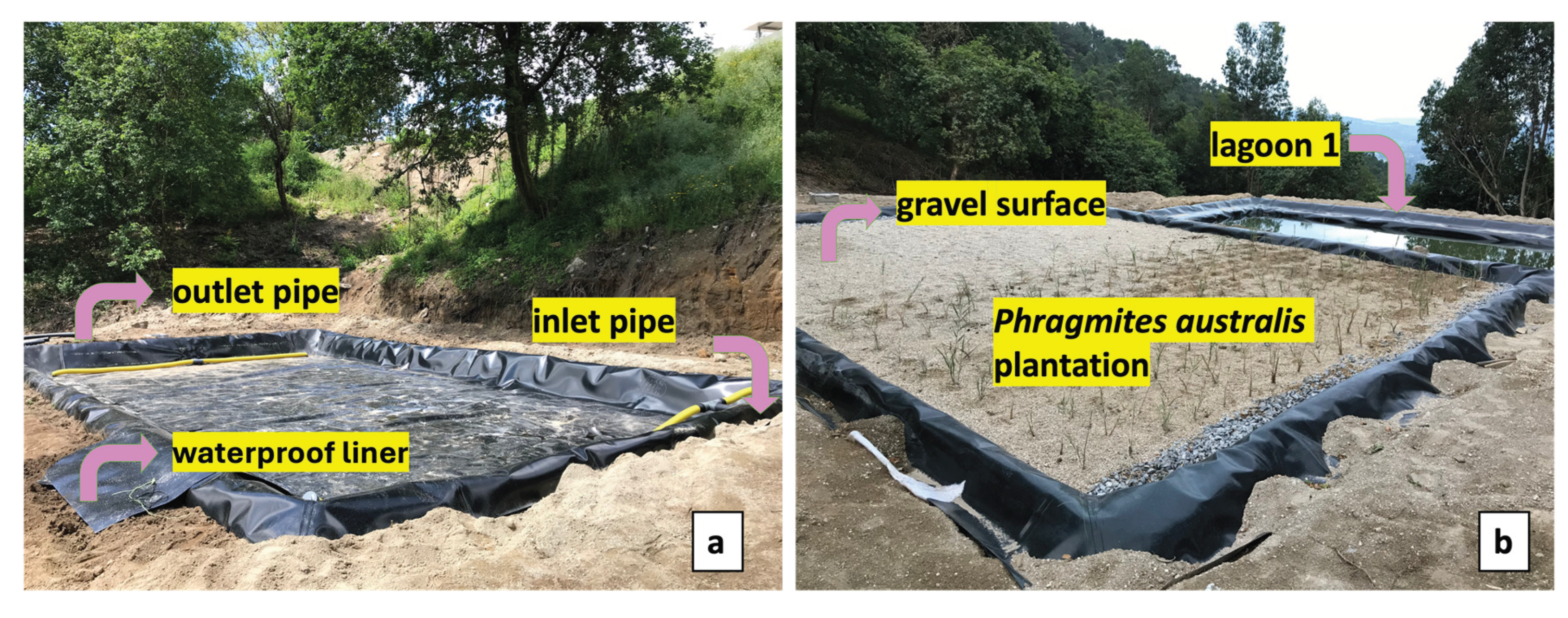 Preprints 179094 g009