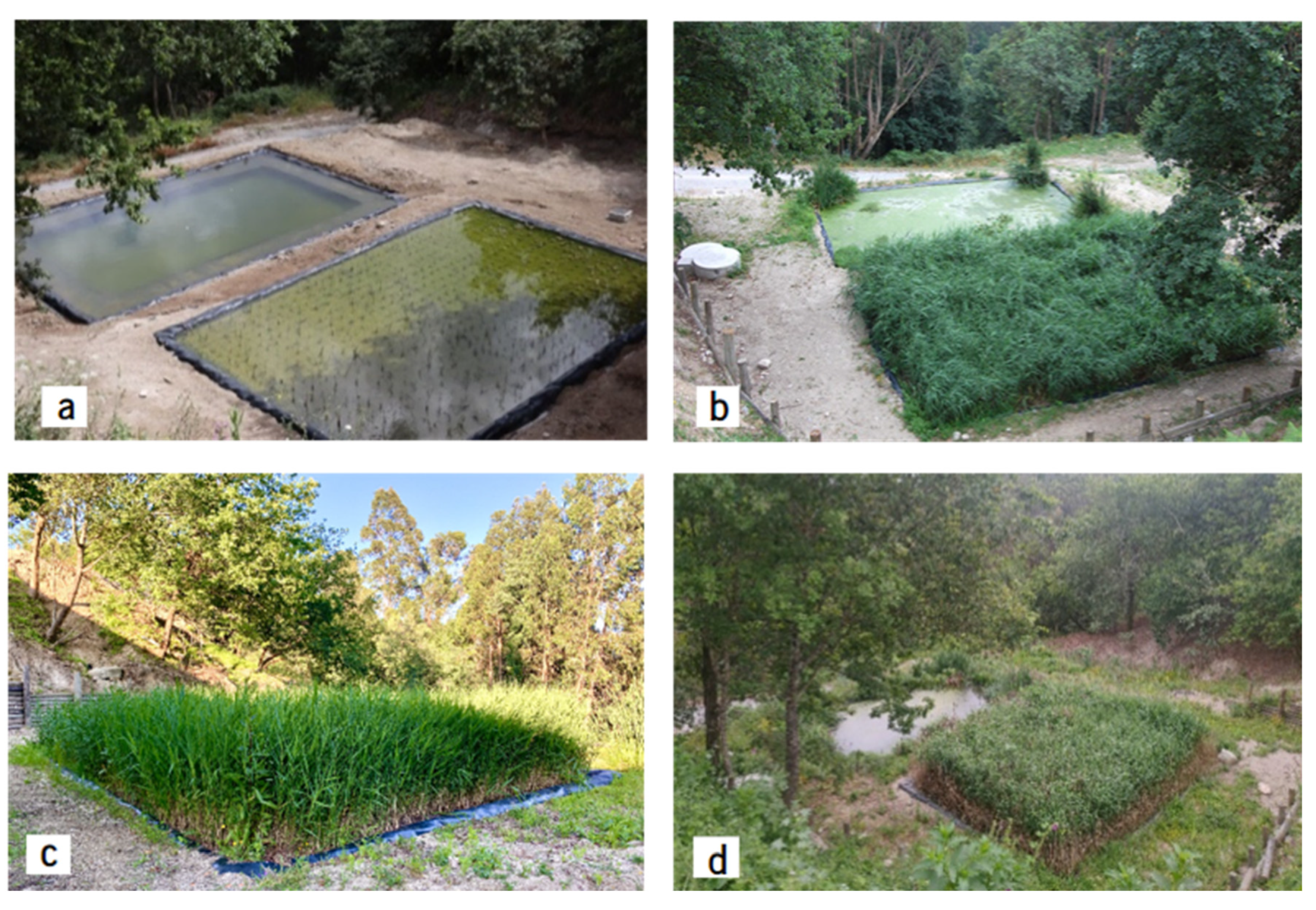 Preprints 179094 g010