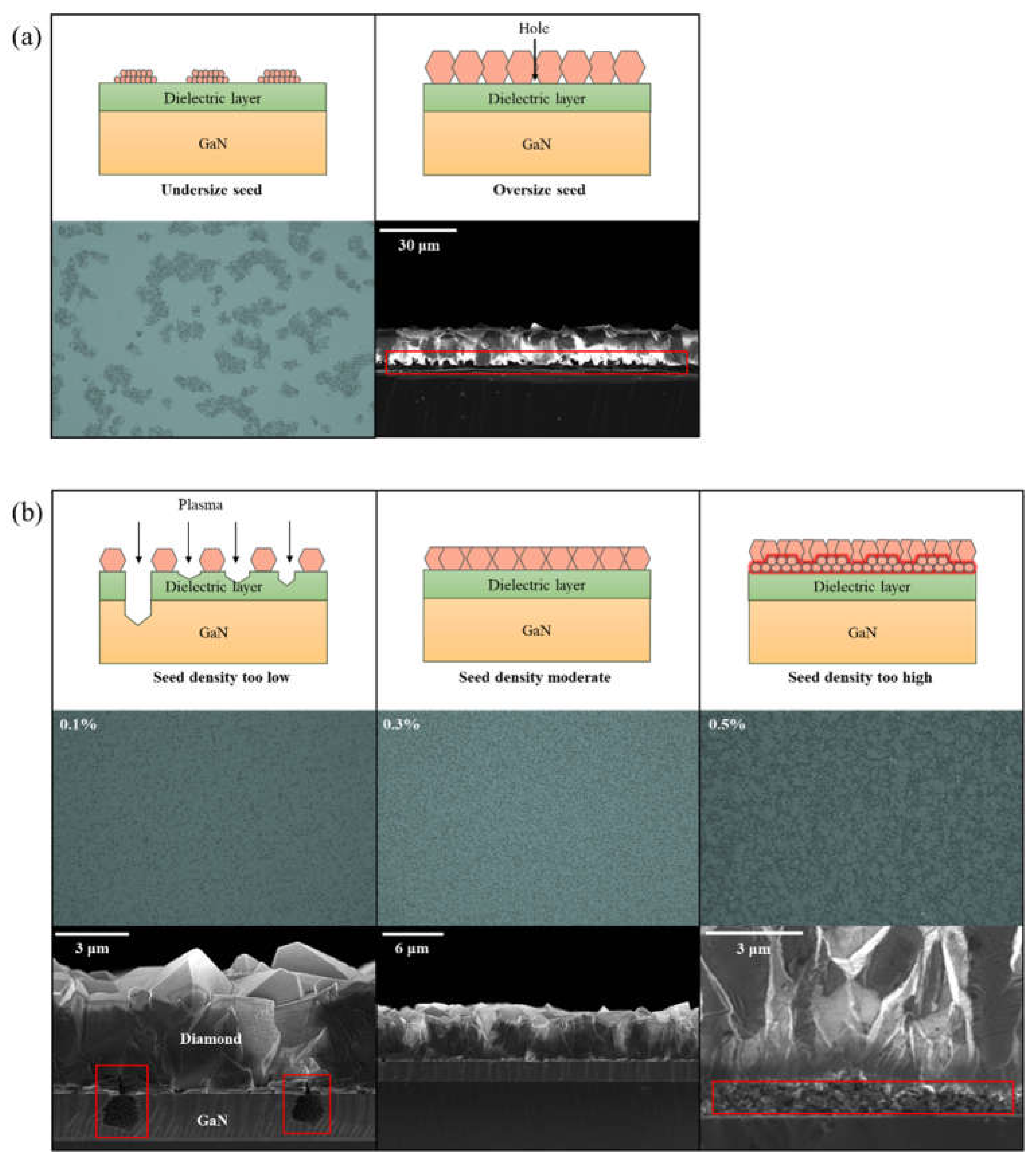 Preprints 137373 g002