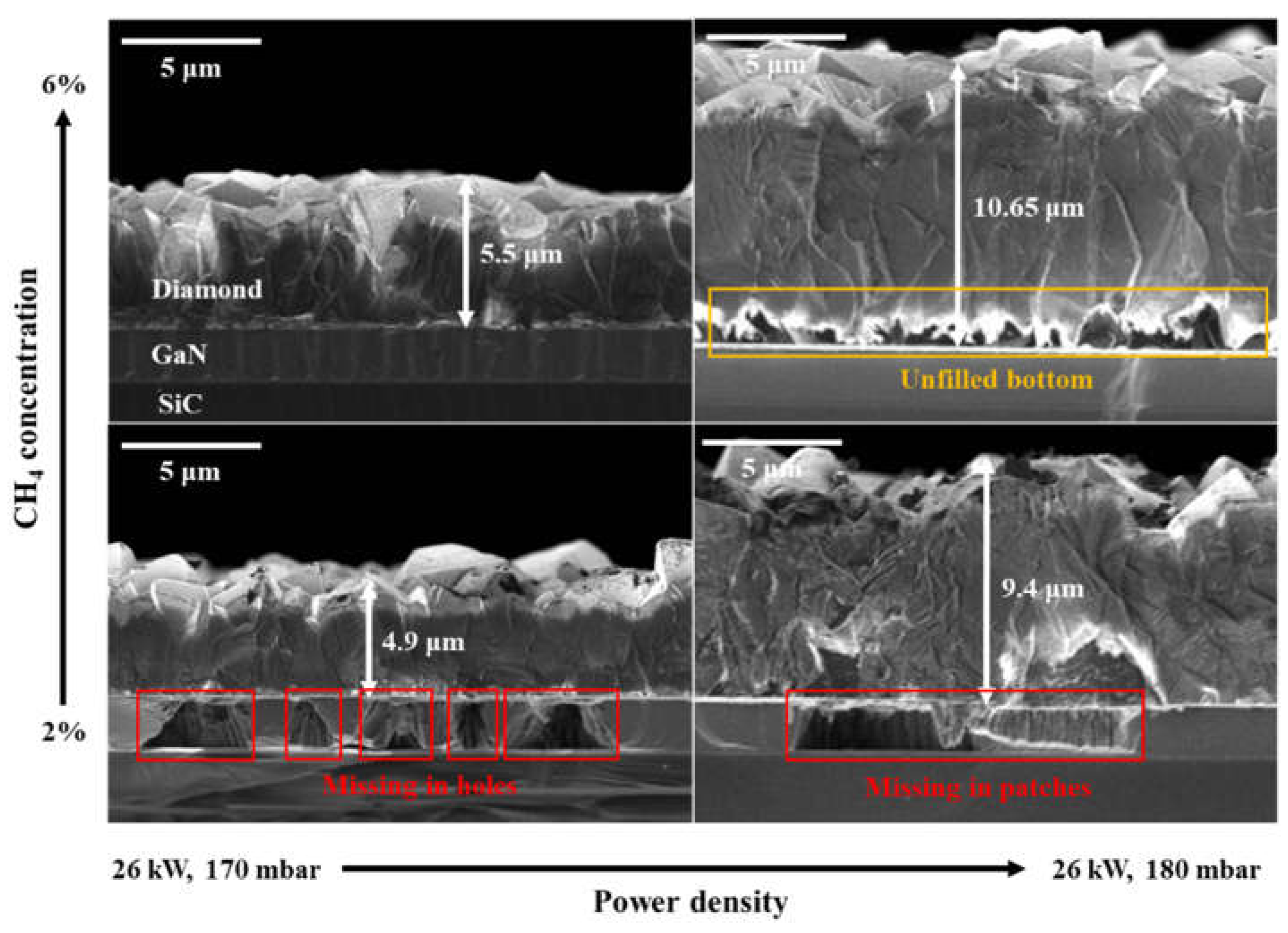 Preprints 137373 g003