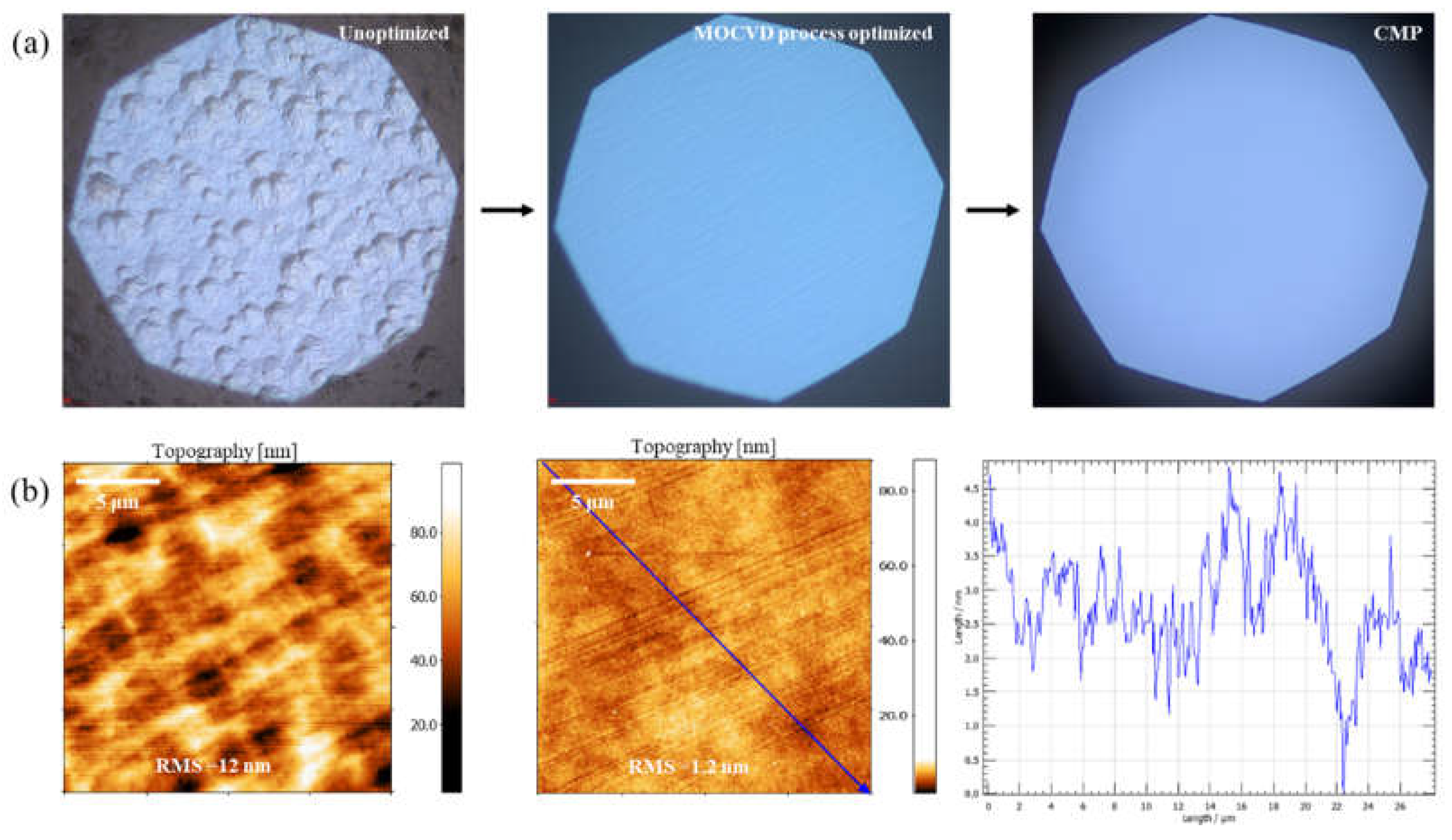 Preprints 137373 g004