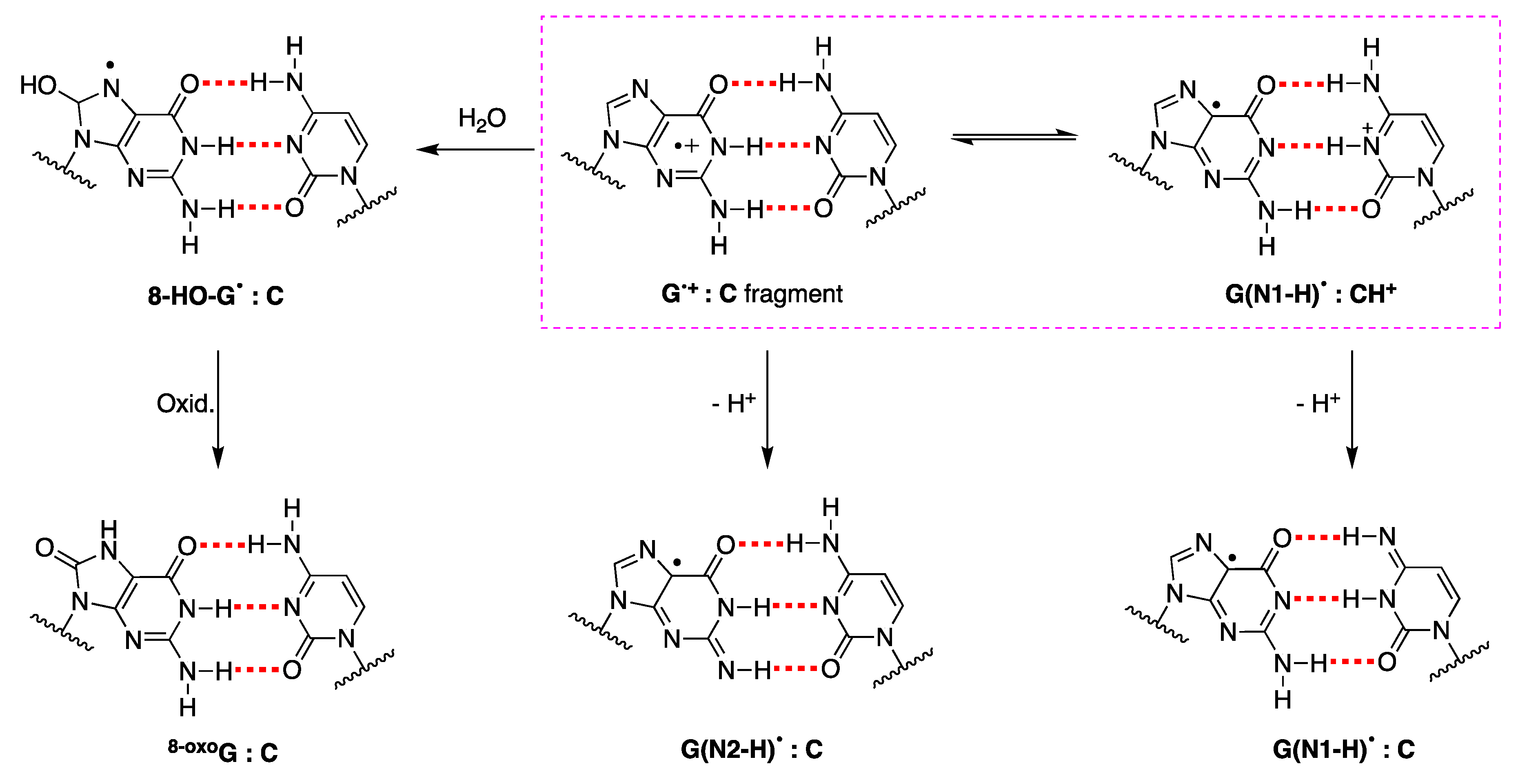 Preprints 140276 g008