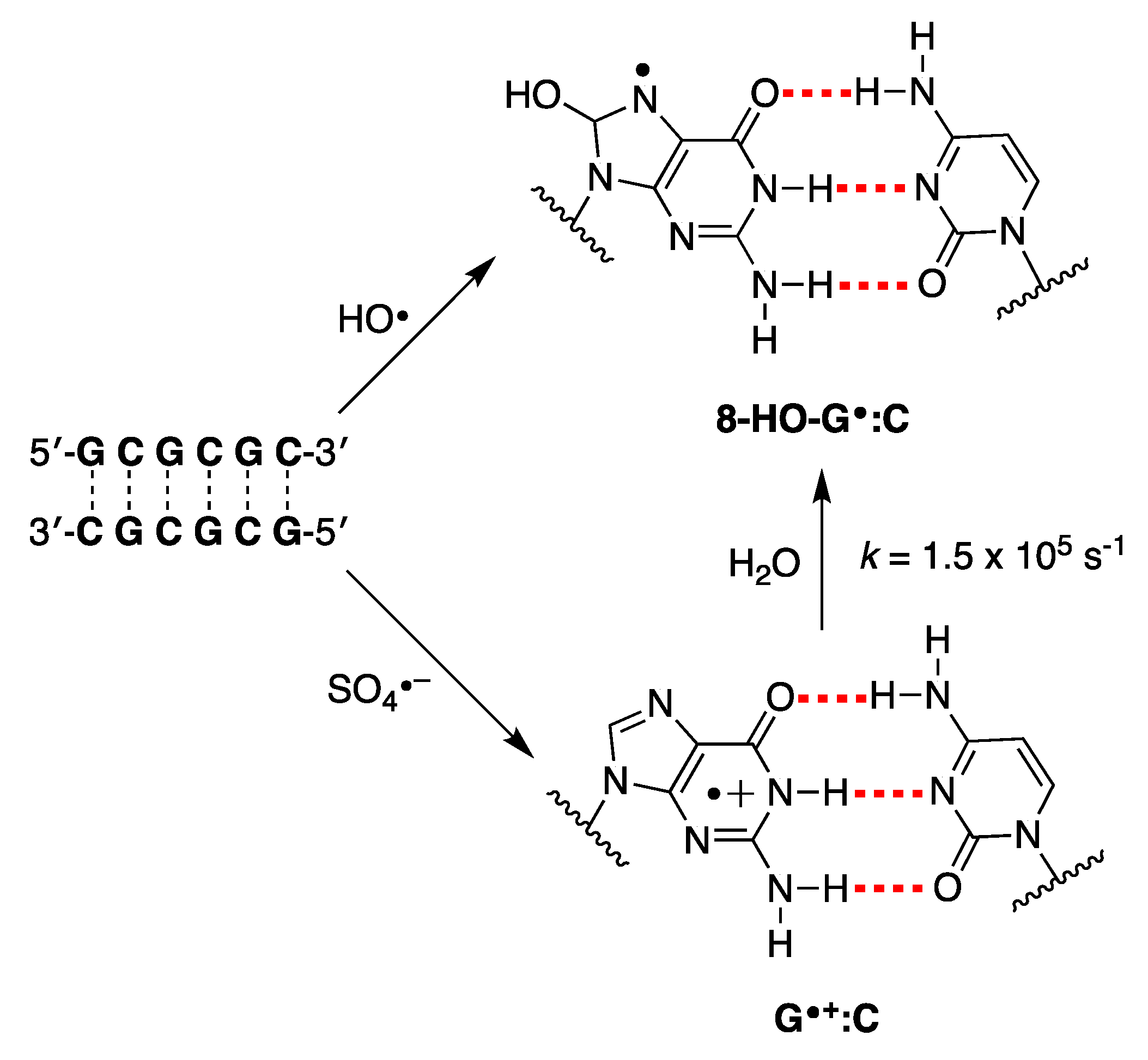 Preprints 140276 g009