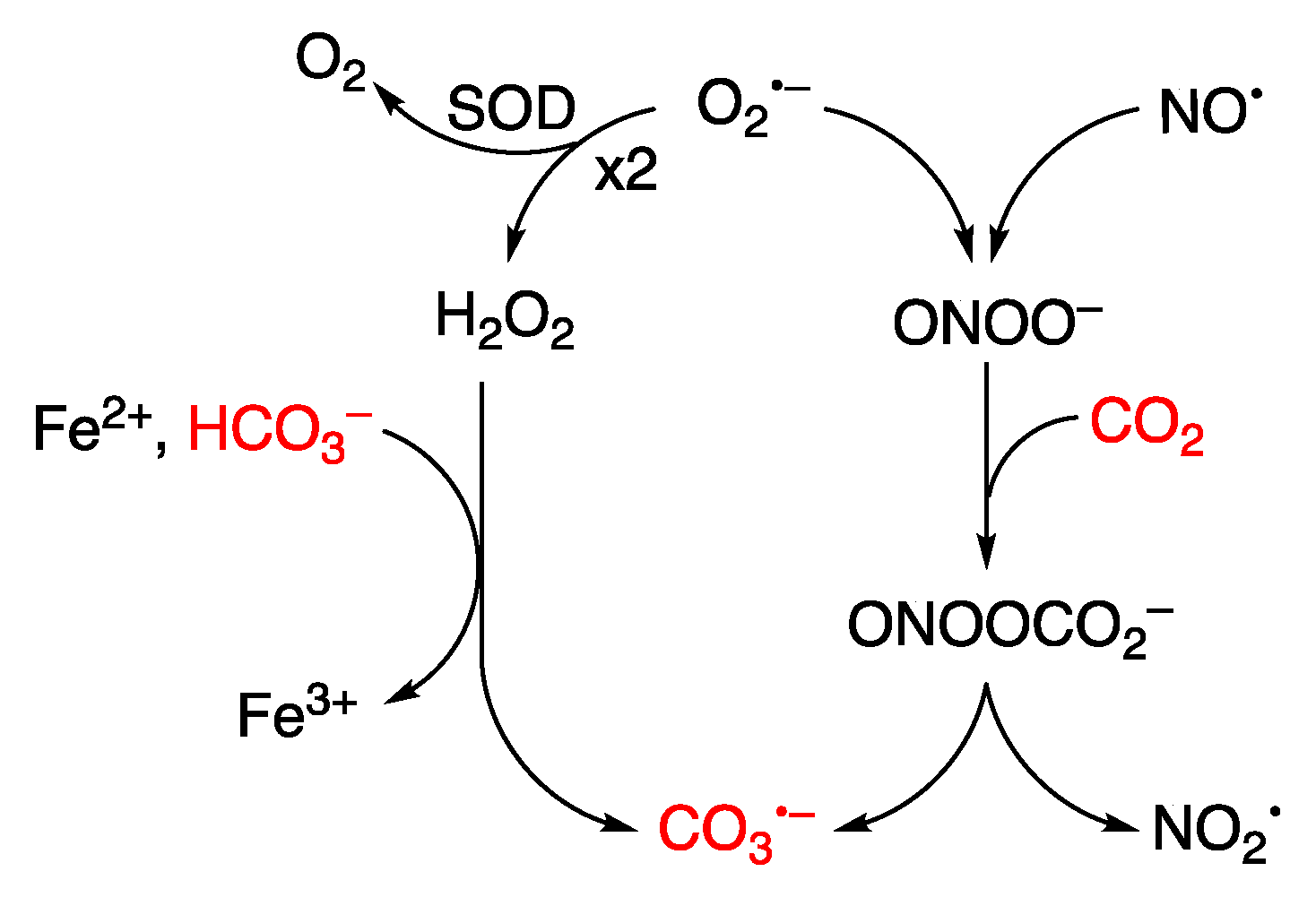Preprints 140276 g010