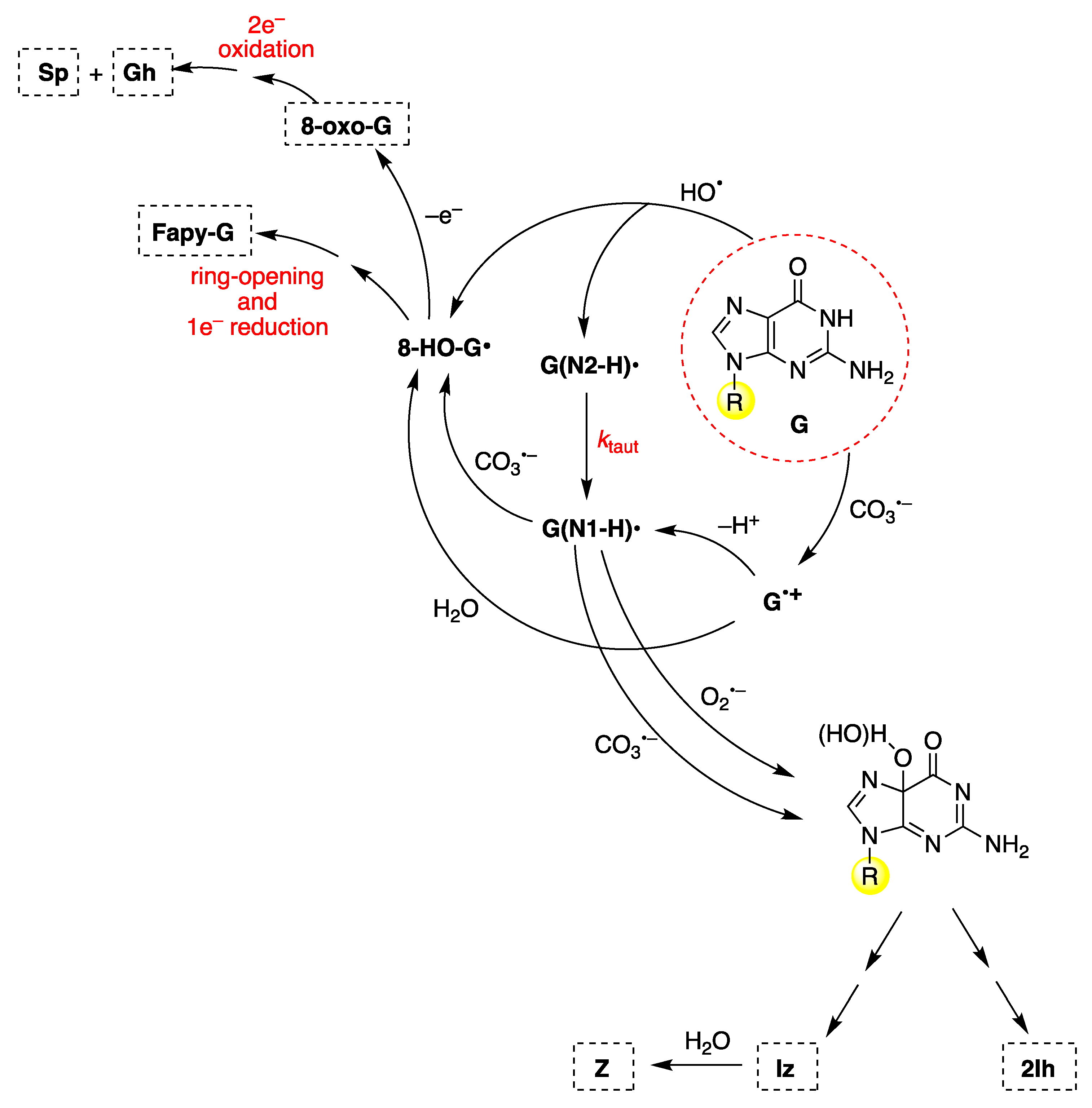 Preprints 140276 g012