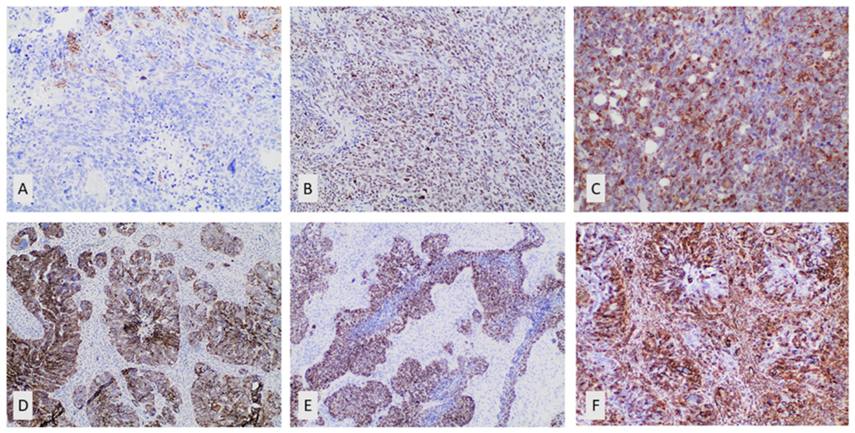 Preprints 82194 g001