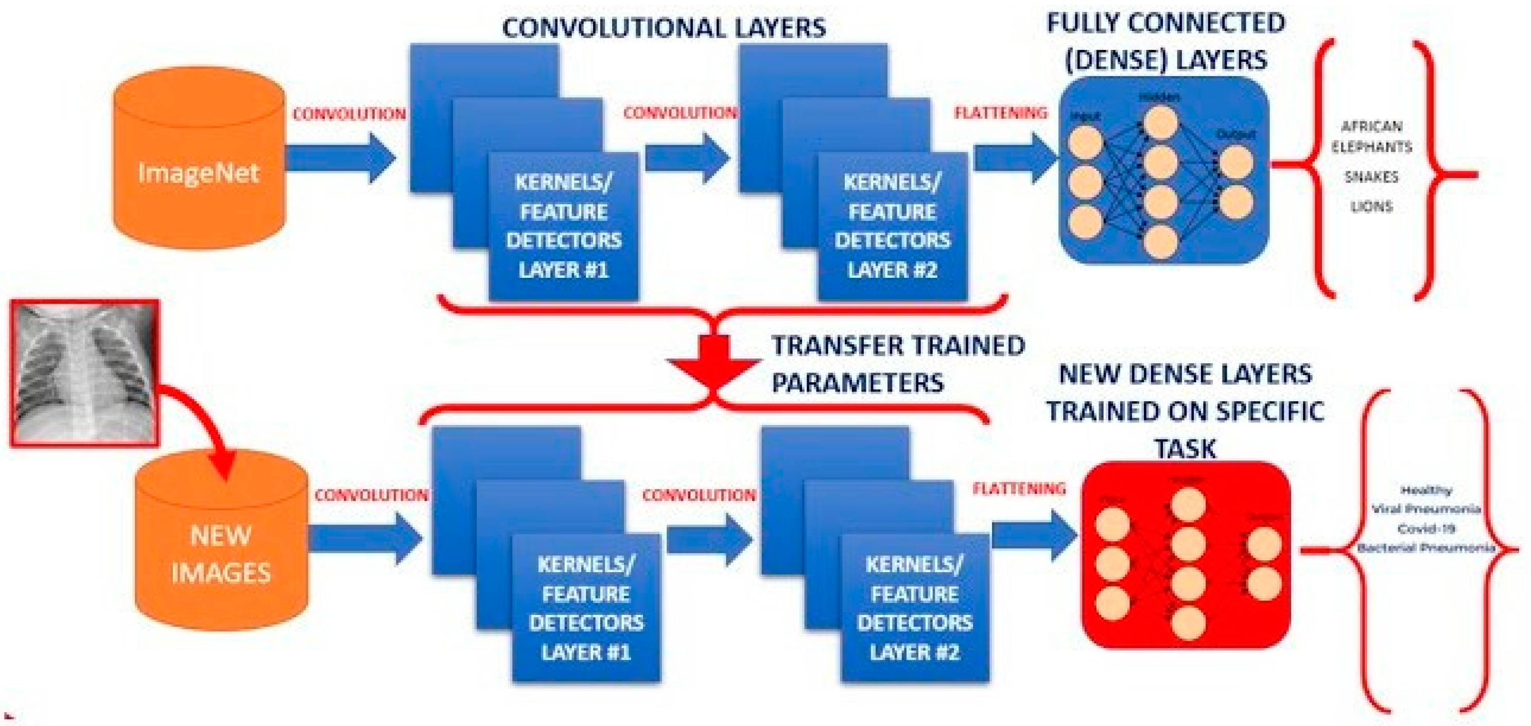 Preprints 159380 g005