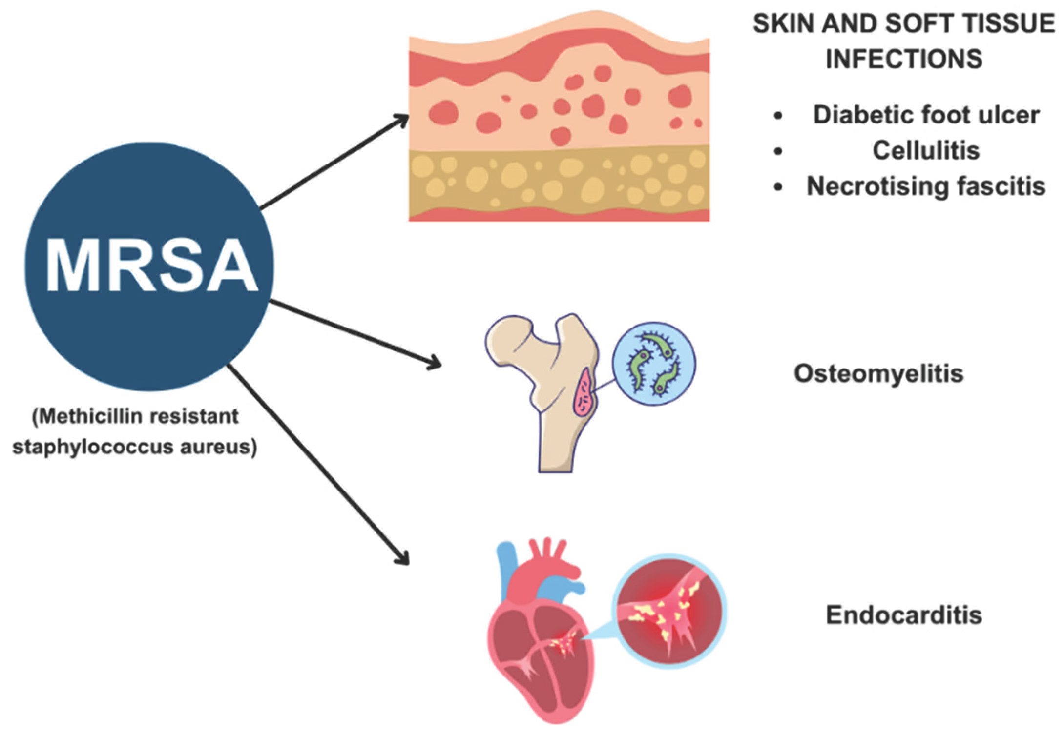 Preprints 186515 g001