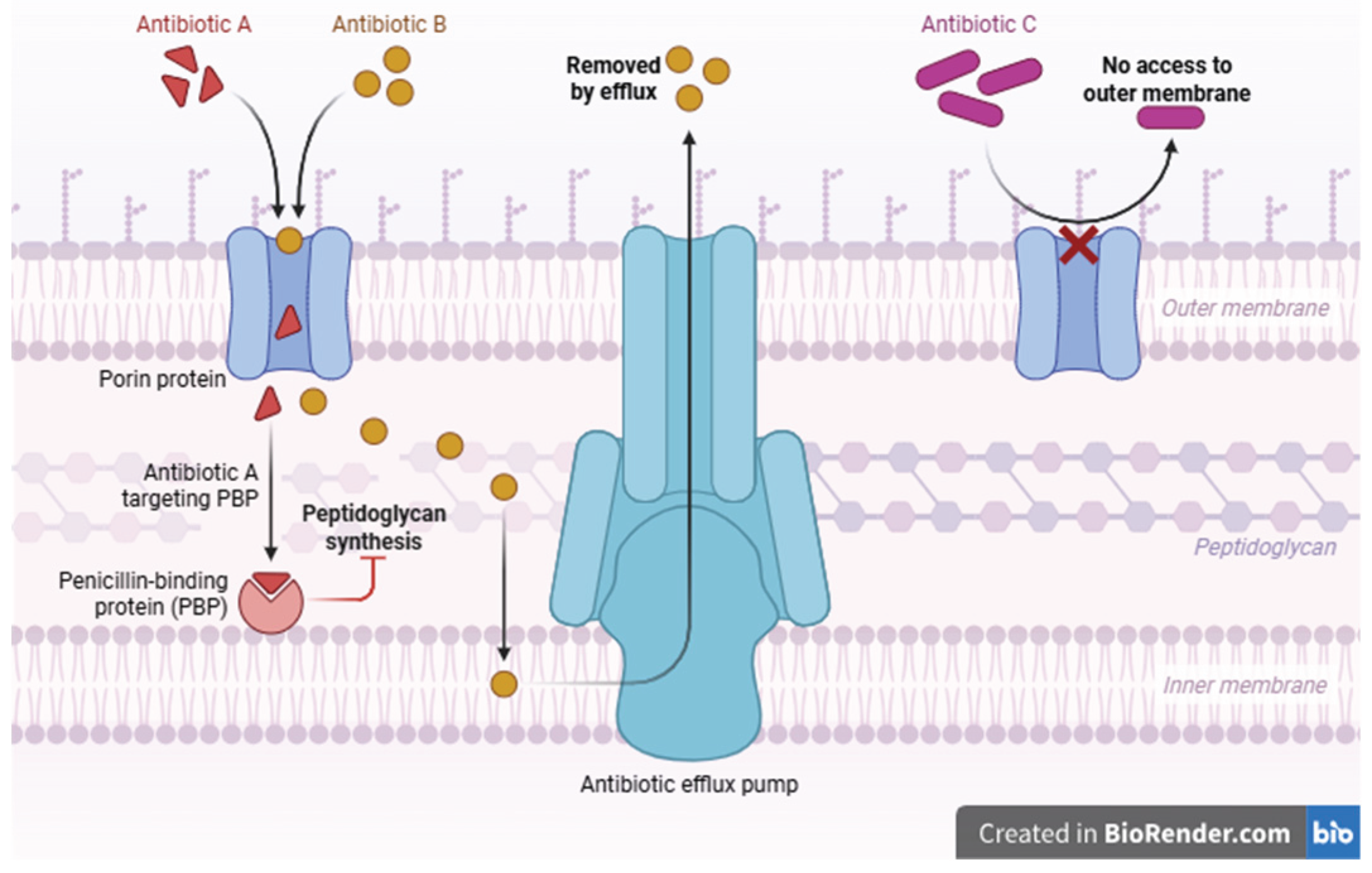Preprints 186515 g002