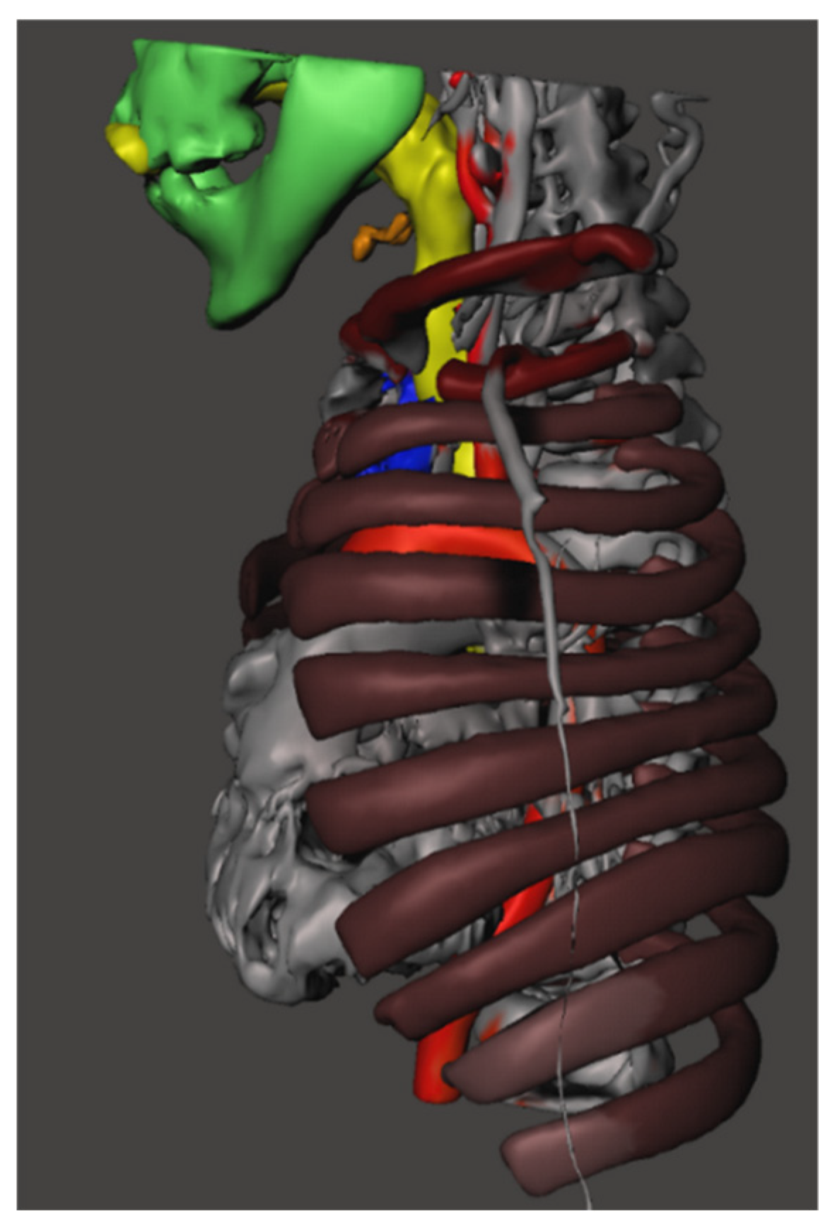 Preprints 200373 g002