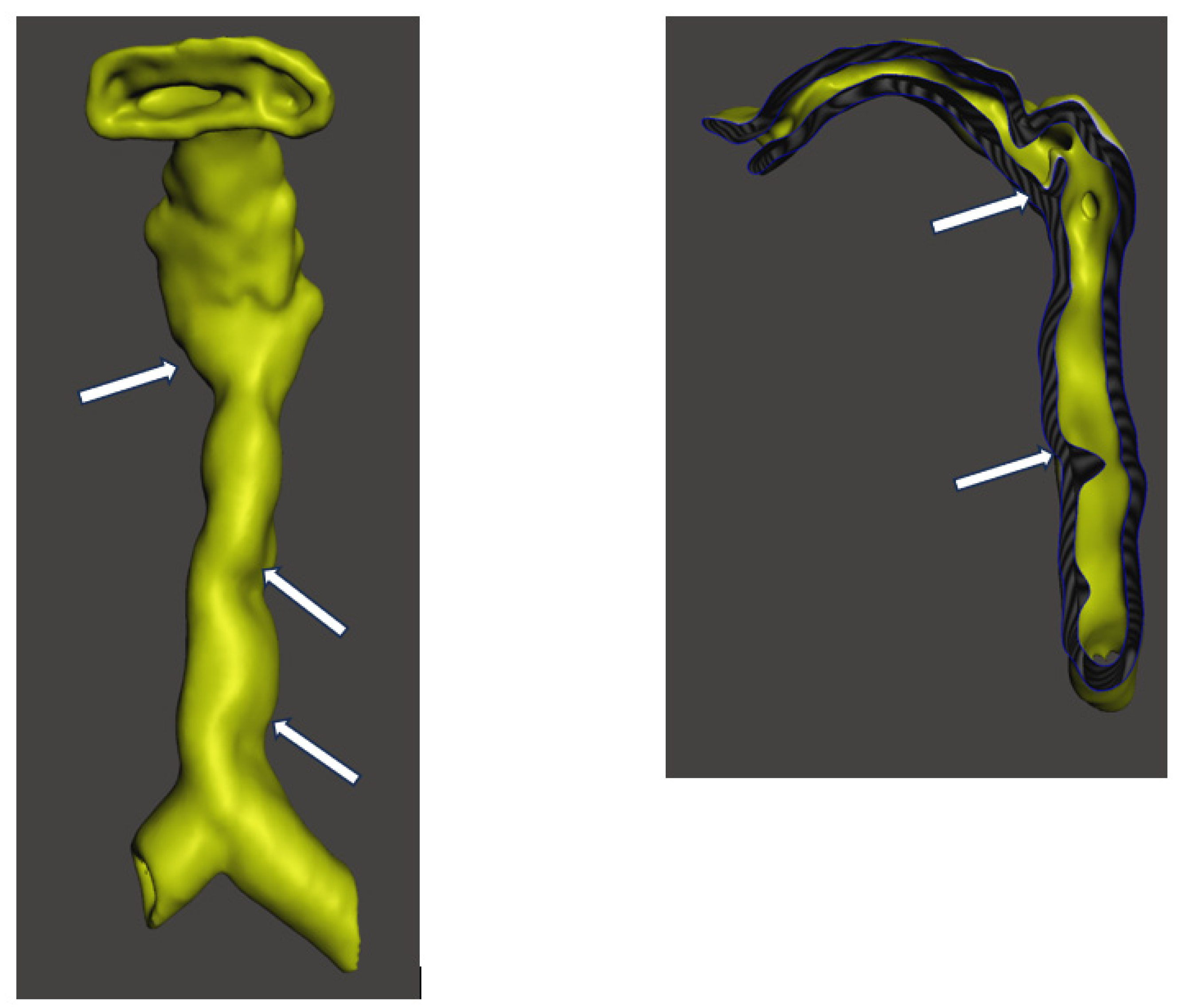 Preprints 200373 g003