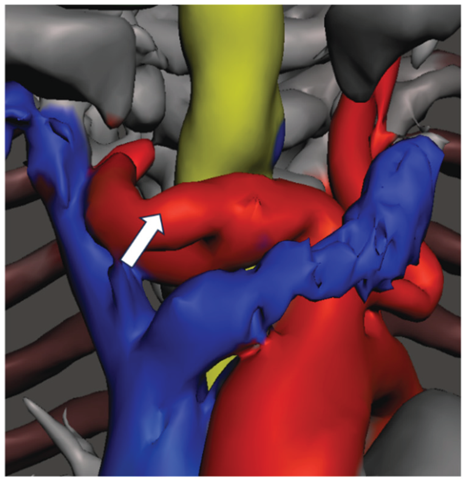 Preprints 200373 g005