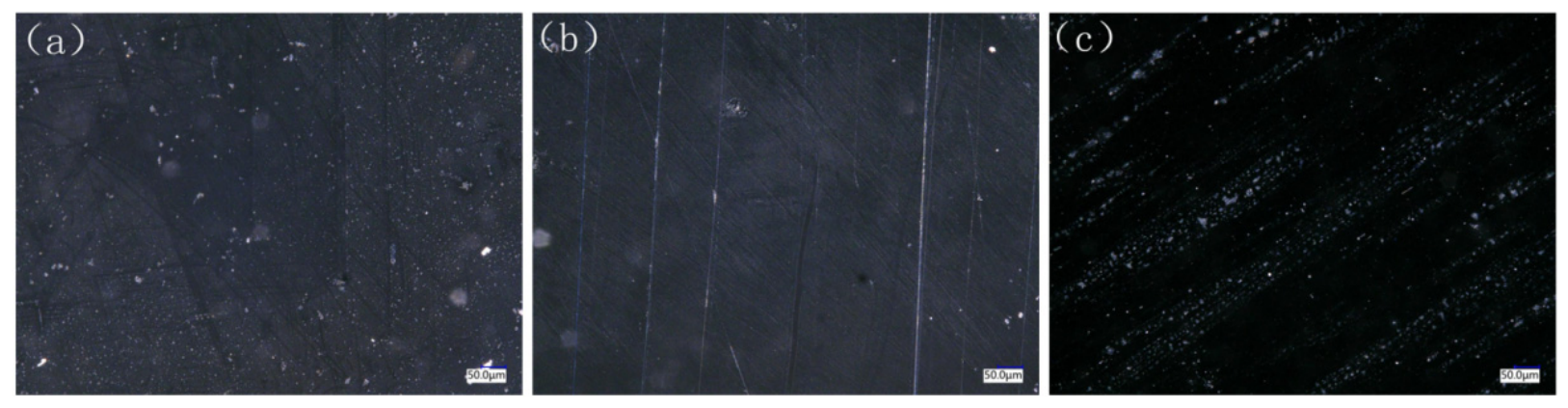 Preprints 227854 g008