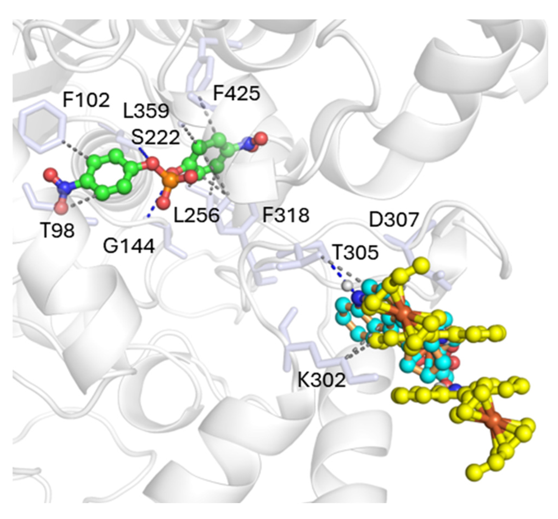 Preprints 182821 g007