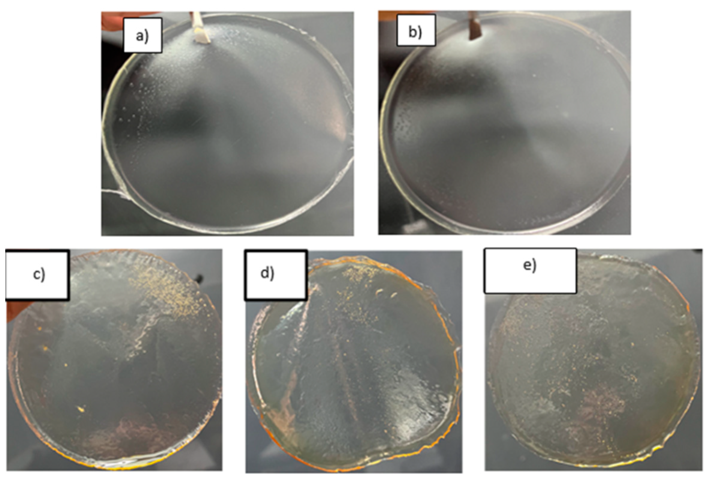 Preprints 113823 g001