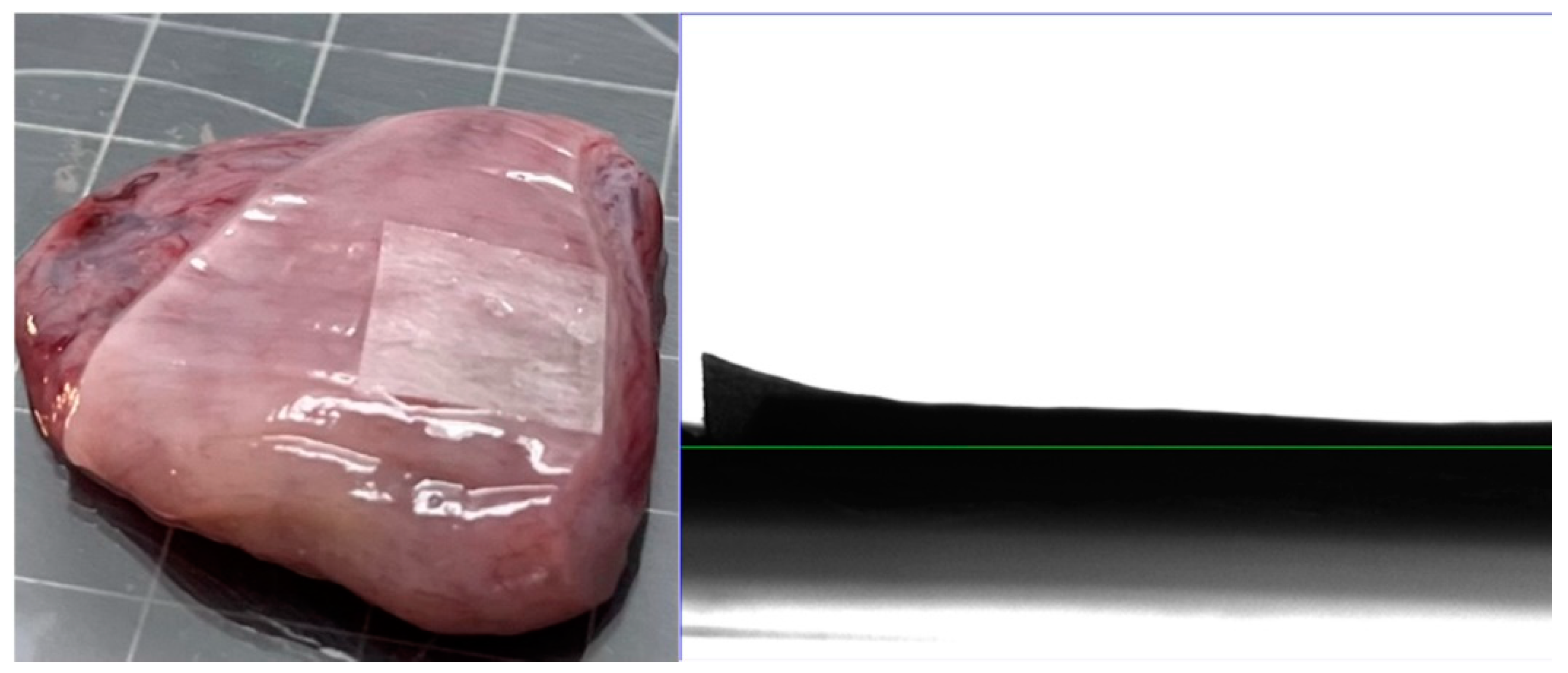 Preprints 113823 g009