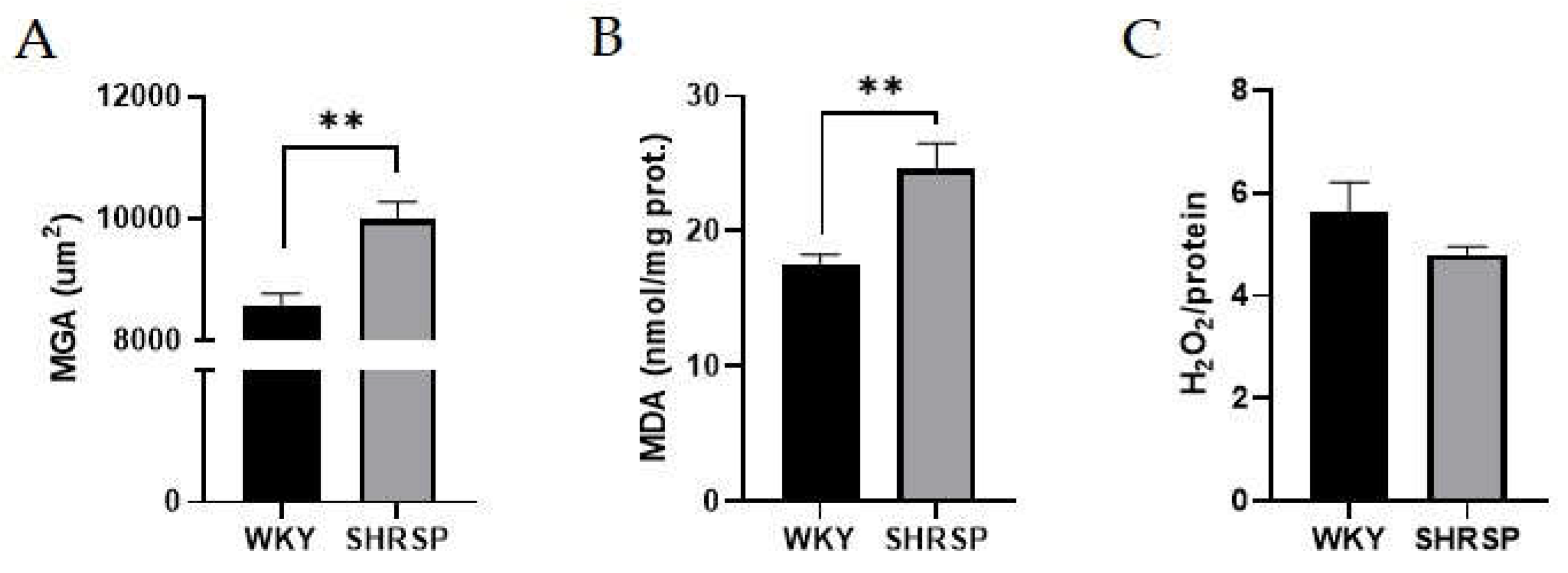 Preprints 154438 g003