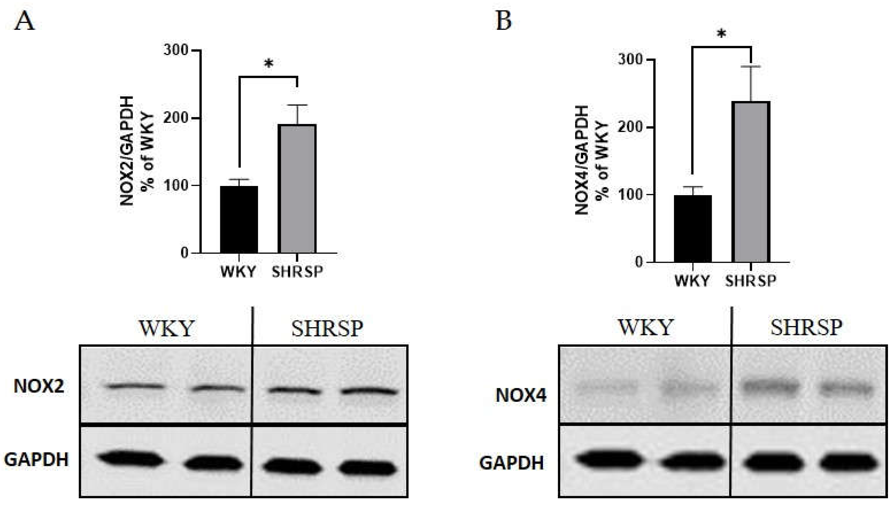 Preprints 154438 g004