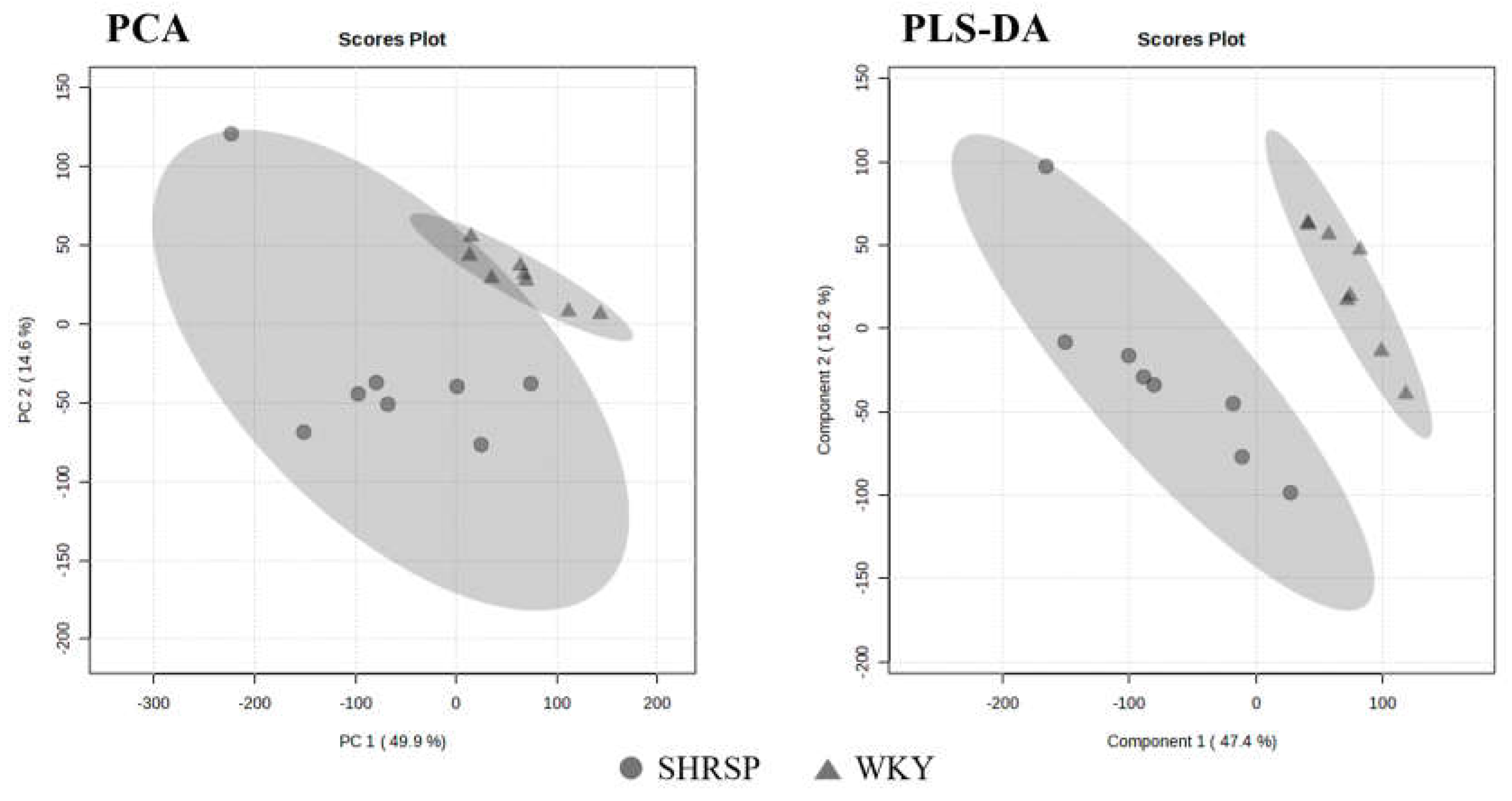 Preprints 154438 g006