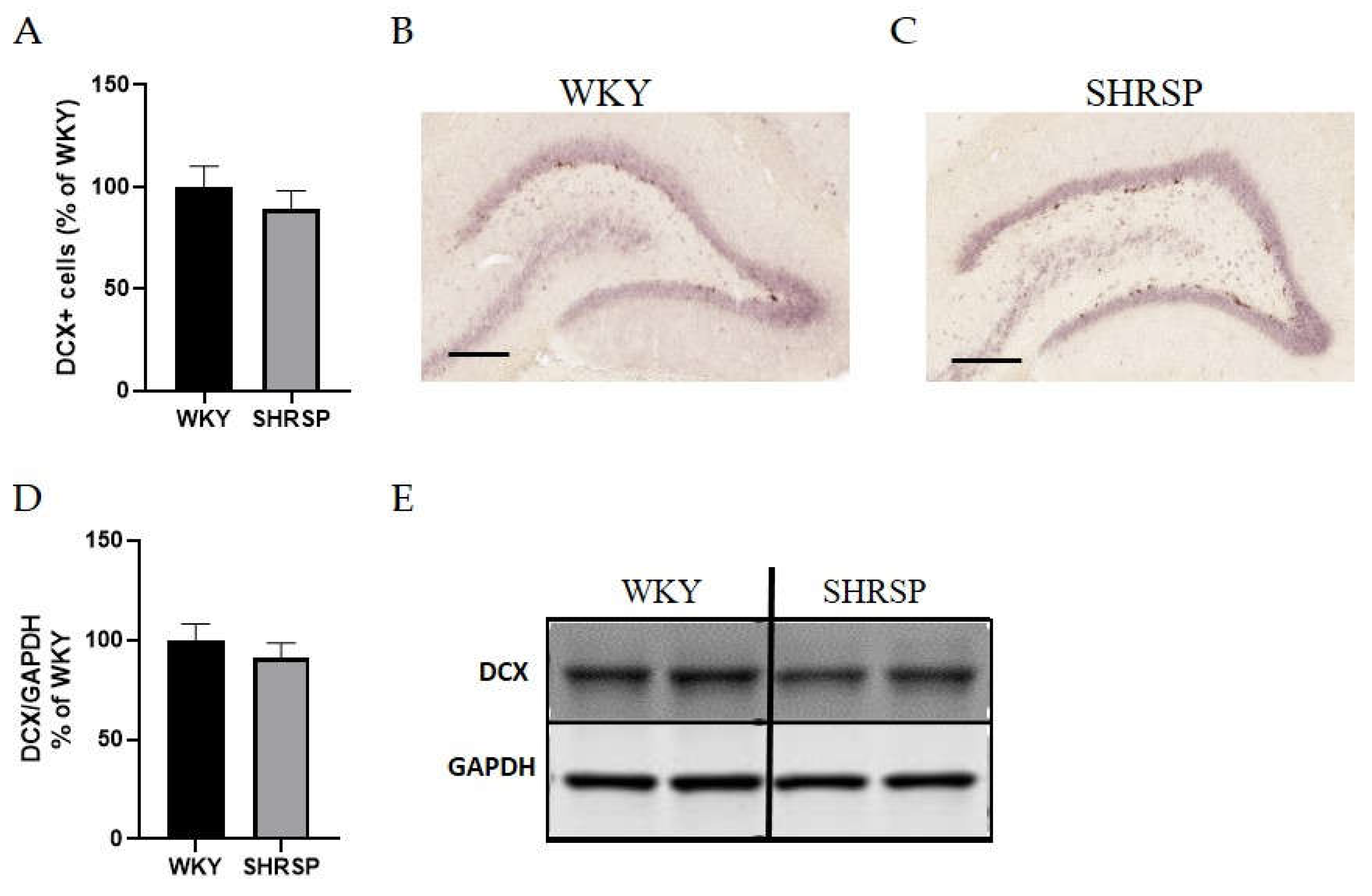 Preprints 154438 g008