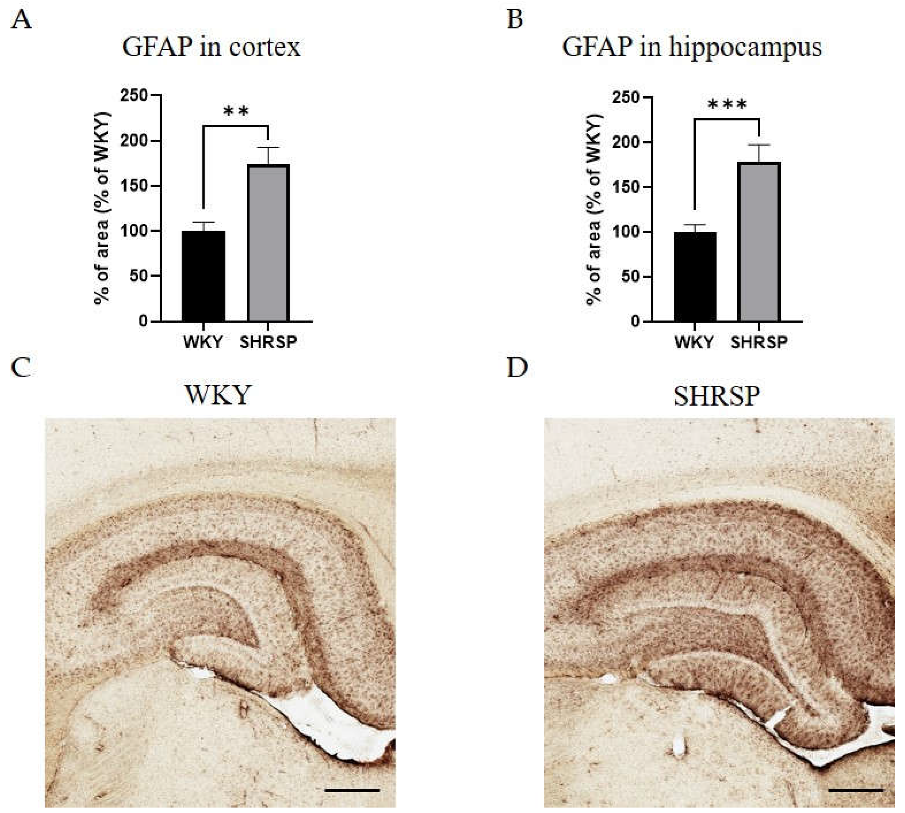 Preprints 154438 g009