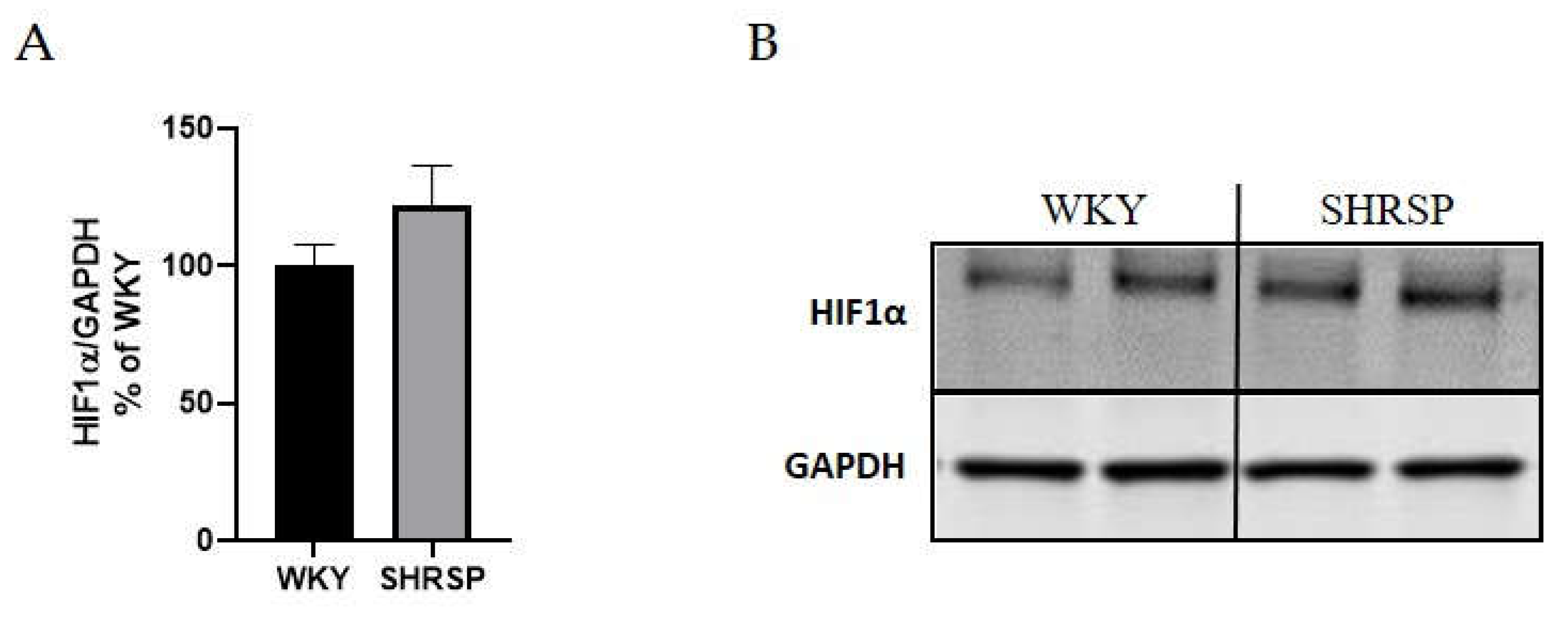Preprints 154438 g010