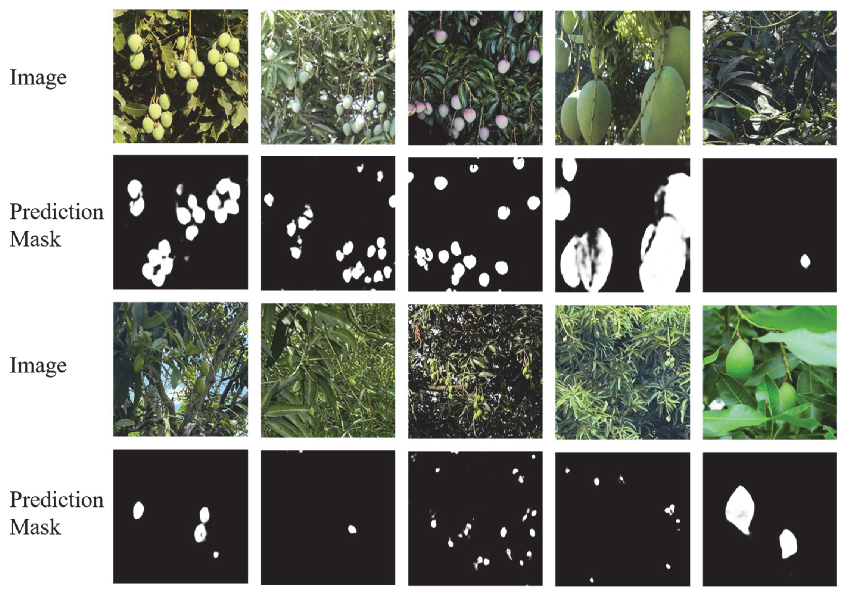 Preprints 165788 g006